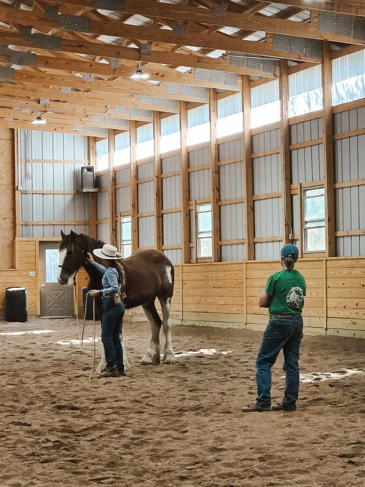 Day 1 of a wonderful weekend teaching up in the Upper Peninsula. 

Teaching all private lessons really gave me a chance to handle and meet each horse as well as owner right where they were at. What a fun, productive day, with great people ready to wo