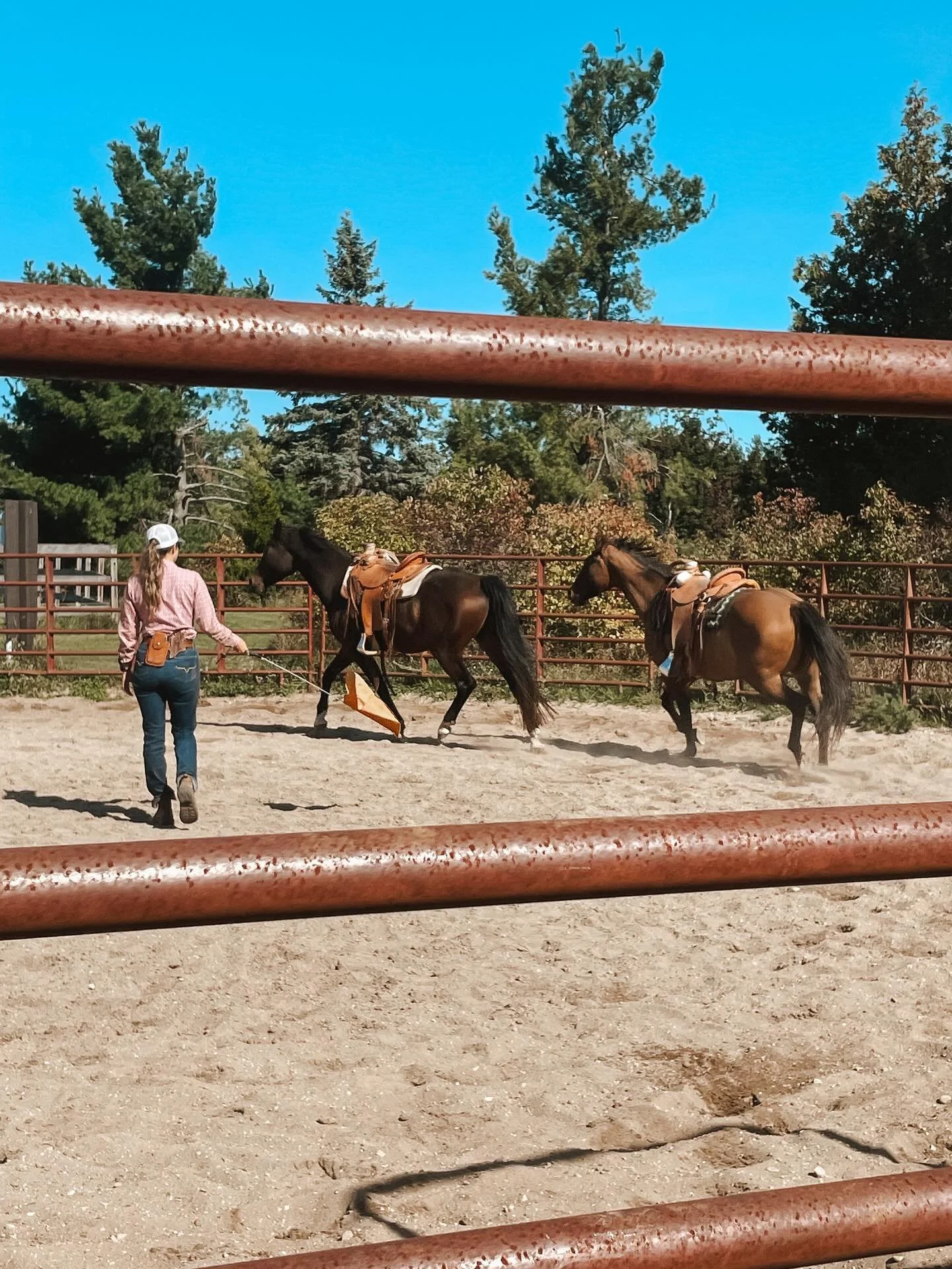 &ldquo;The horse responds to comfort, they respond to peace better than about anything else you could do. So if the horse responds to you and you give him a little peace and comfort that means more to him than anything.&rdquo; -Buck Brannaman

My two