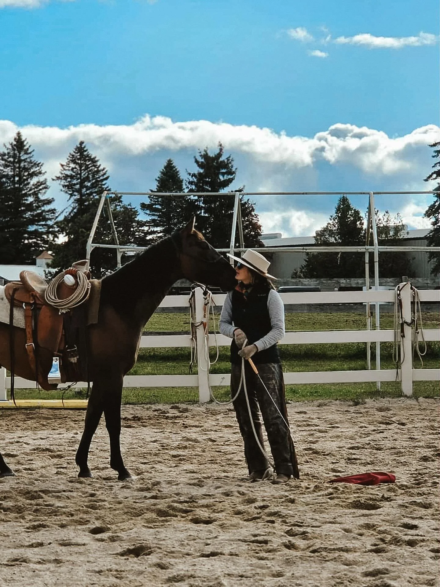 I sure got myself a pretty special baby horse. Baby booker taking another @lkhorsesense by storm today. So neat to feel the changes in him from this clinic to the one we did a year ago. We discussed with a lot of horses and individuals today how quic
