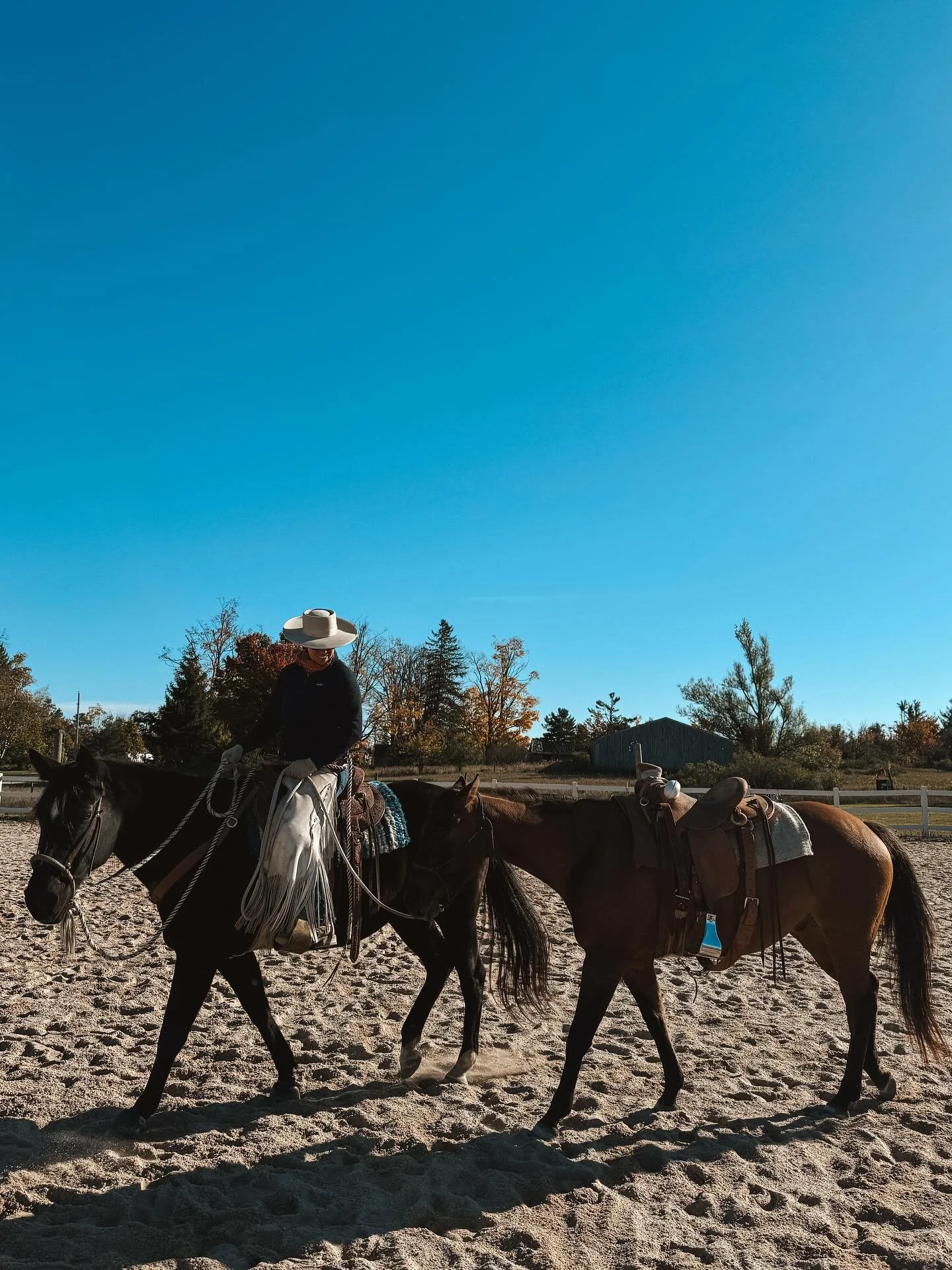 Another amazing @lkhorsesense comes to a close. It is one of my favorite things to spend hours focusing on our groundwork. The weather was incredible and so was the company. Thank you @lkhorsesense for yet again spending time with all of us to help u