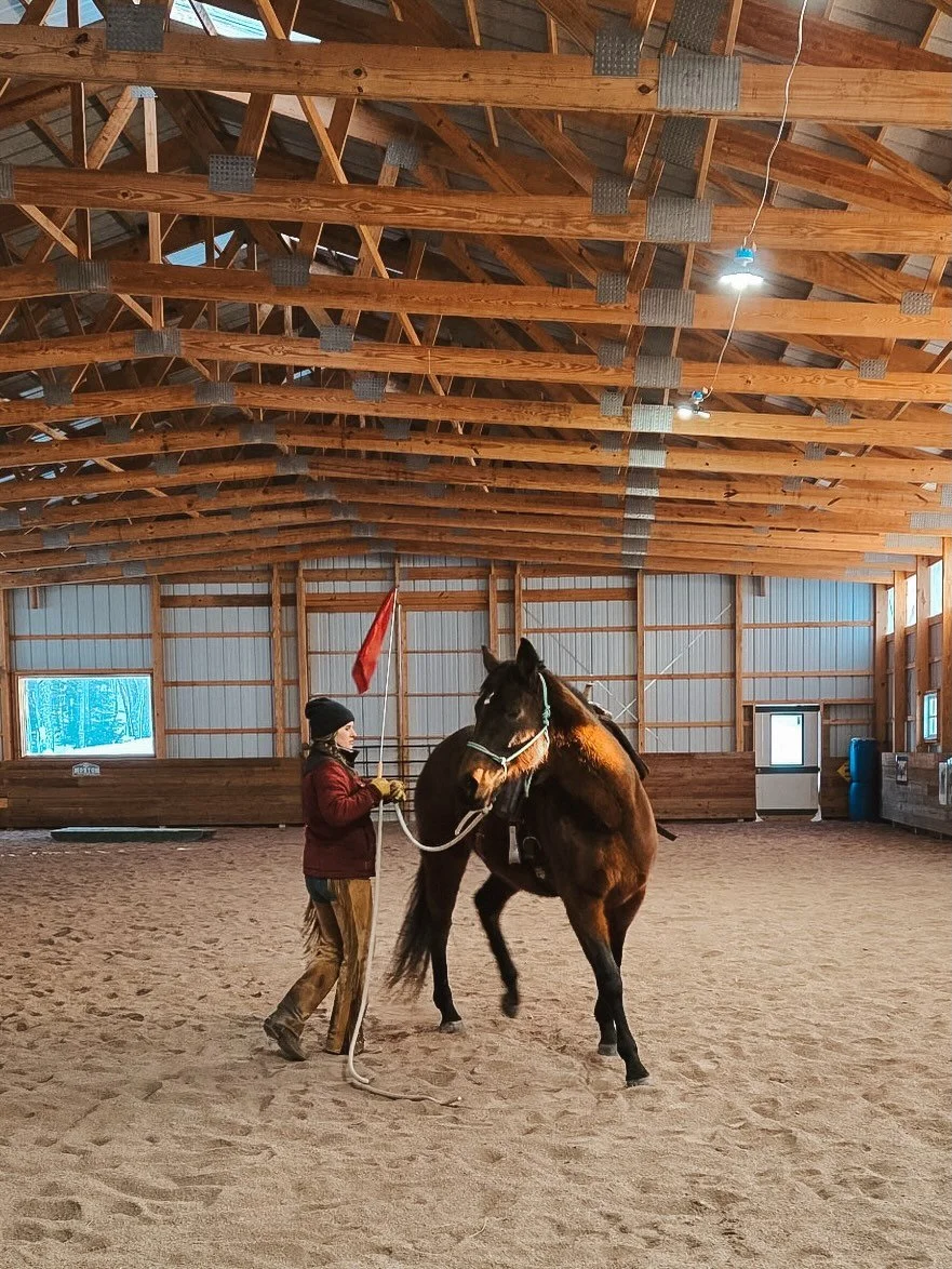 &ldquo;You try to do as little as you can, but you need to do as much as is necessary to get a result. When you get a result, you do less&rdquo; -Buck Brannaman 

This quote was something we discussed across the board this weekend. 

It was so nice t