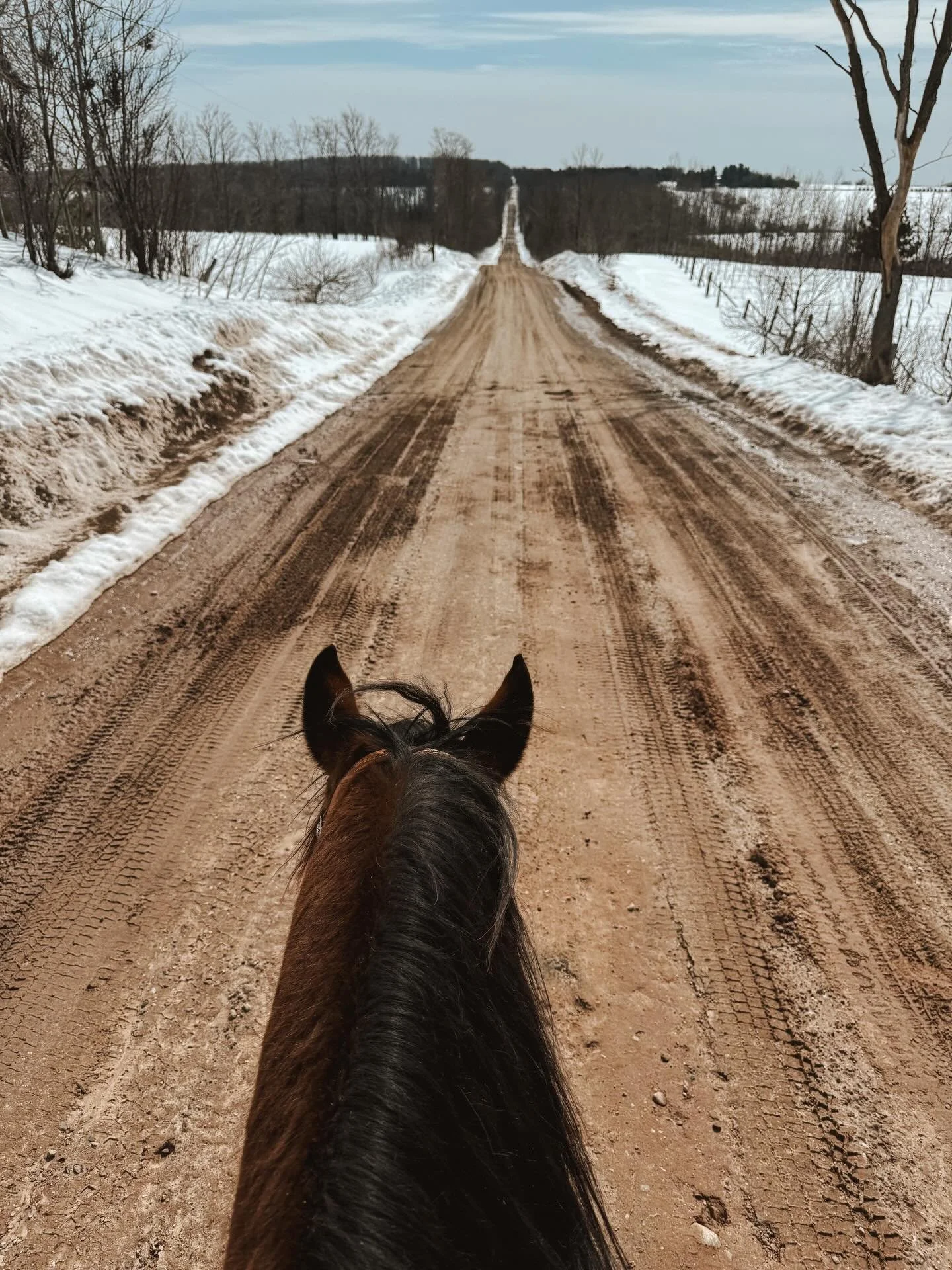 The first outside cruise of 2026. I did a swap of Hiccup and Booker from the work farm and the home farm. We got a particularly sunny and warm day, and I made a pointed effort to get my butt in the saddle at home on the Sunday afternoon and go for a 