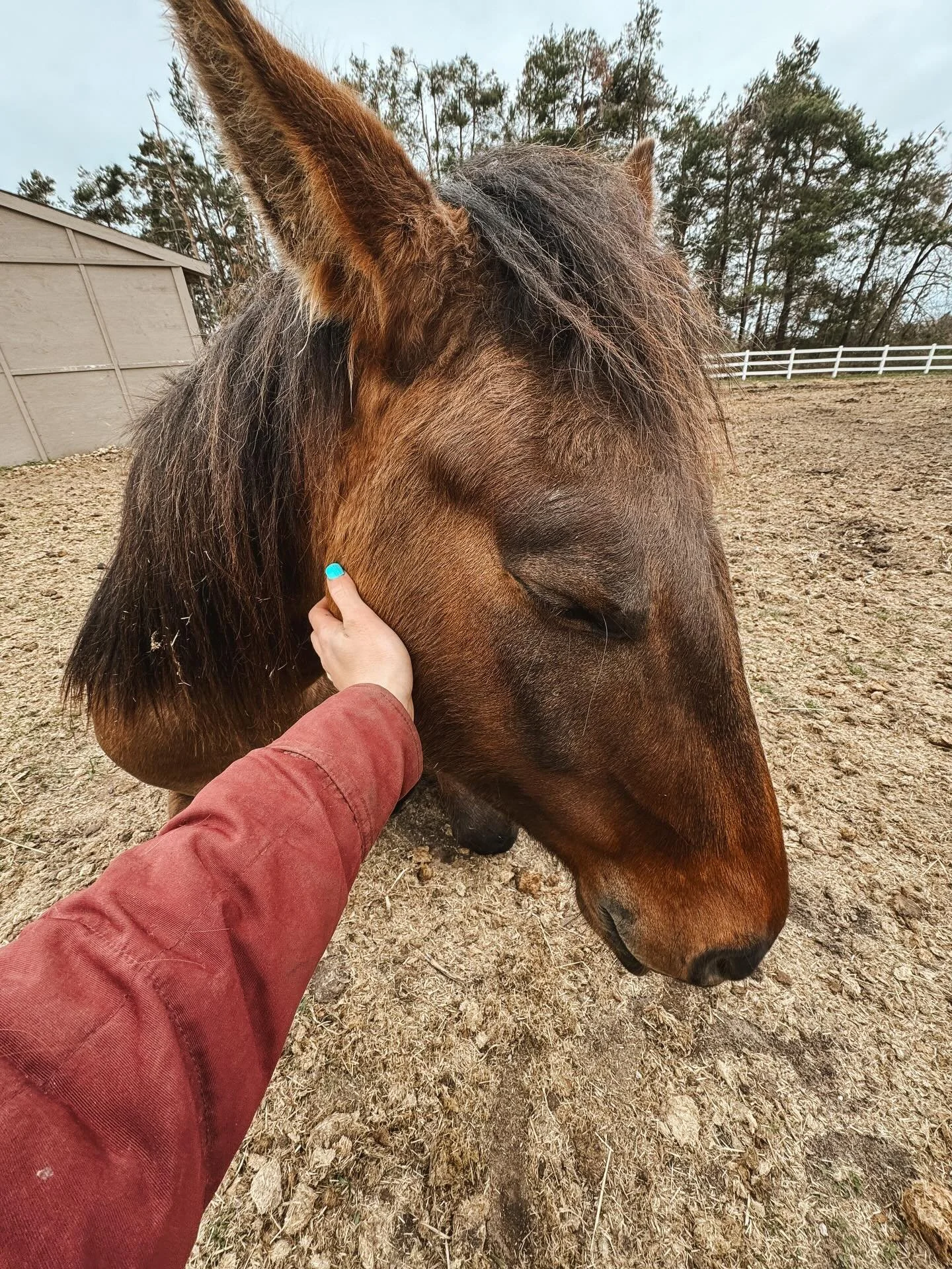 &ldquo;I don&rsquo;t go out there with the intention of catching them, I go out there with the intention of making a friend.&rdquo;
-Buster McLaury 

A month or so ago, I had Booker in my work day schedule to make sure he got &ldquo;worked&rdquo; tha