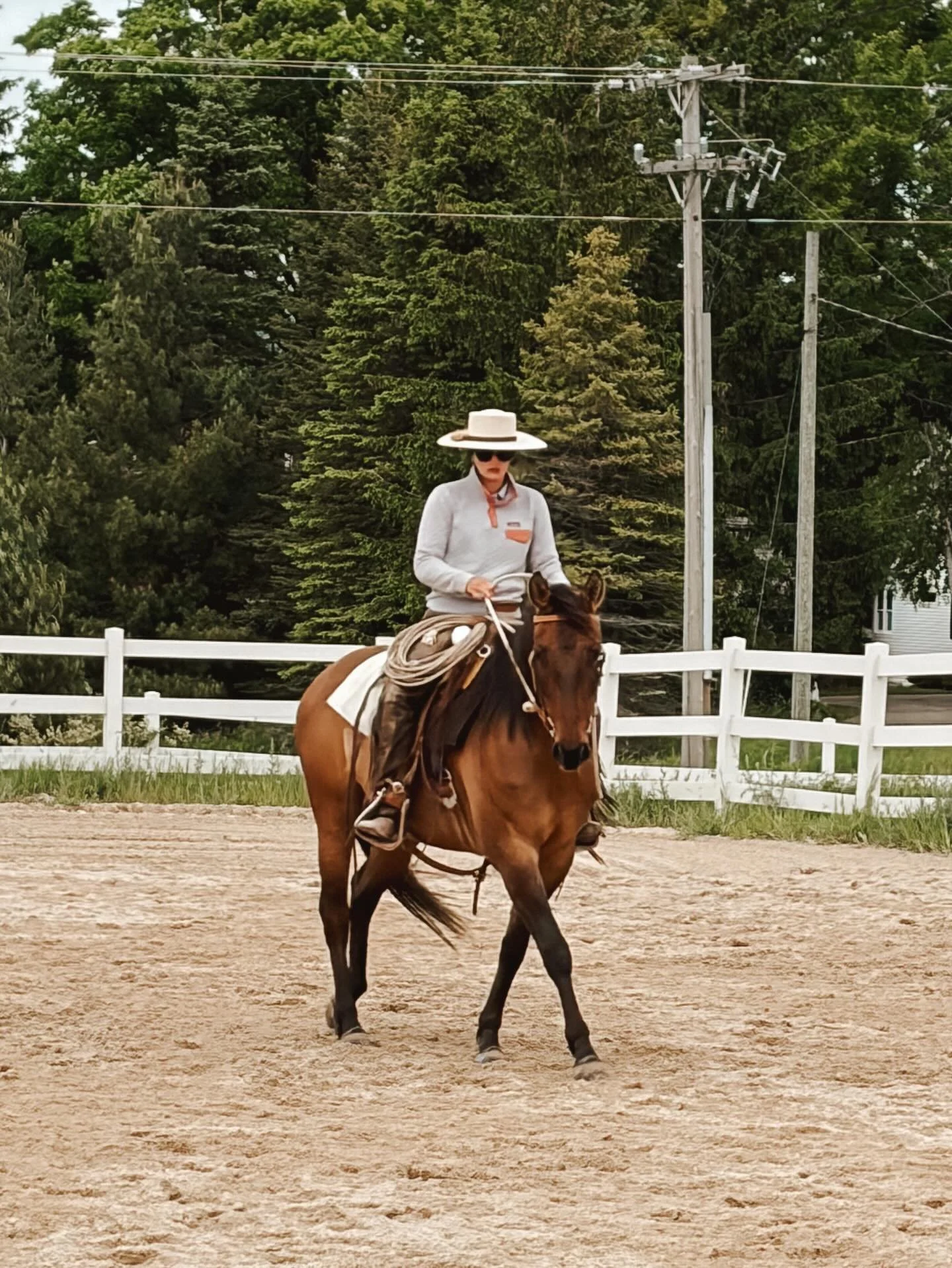 Baby booker, you sweet boy. Happy fourth birthday! We celebrated yesterday by riding in his first big clinic this weekend with @kipfladlandhorsemanship . He rocked it out by trying his hardest and getting a bit further along. I&rsquo;m sure excited f
