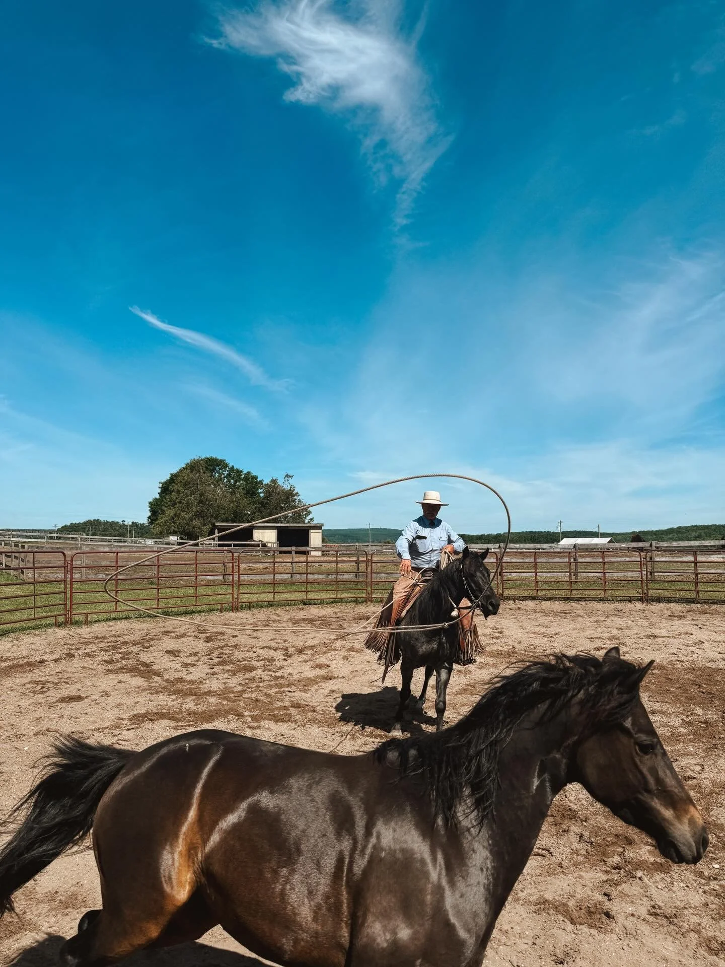 &ldquo;The farther into this whole horsemanship thing that you come, the more difficult i&rsquo;ll seem to get.&rdquo; - Kip Fladland

He mentioned this to me a couple of times this past weekend over the time he has spent with us. We are so lucky he 