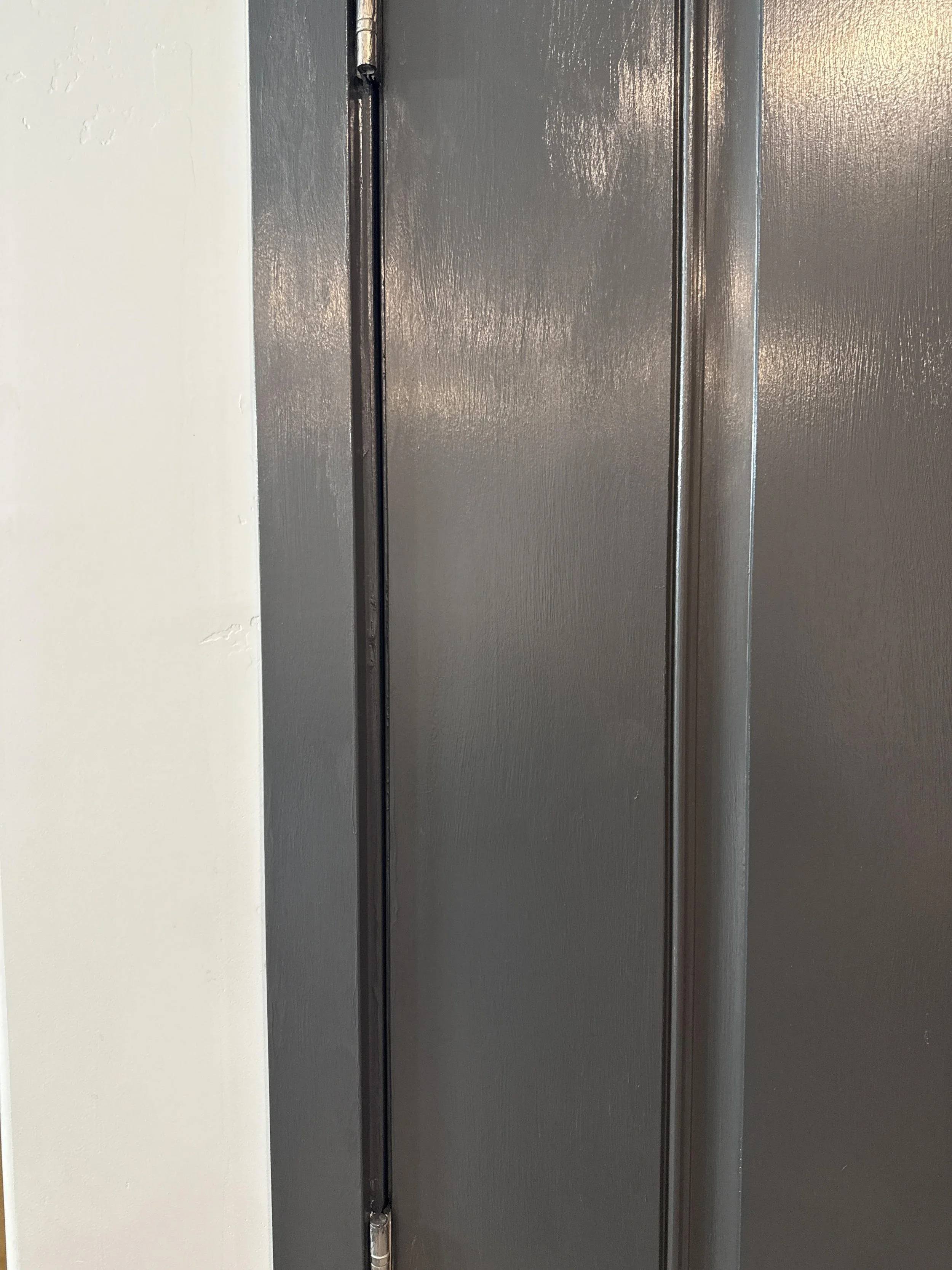 A close-up of a dark grey, paneled metal door with a hinge visible on the left side, next to a white wall.