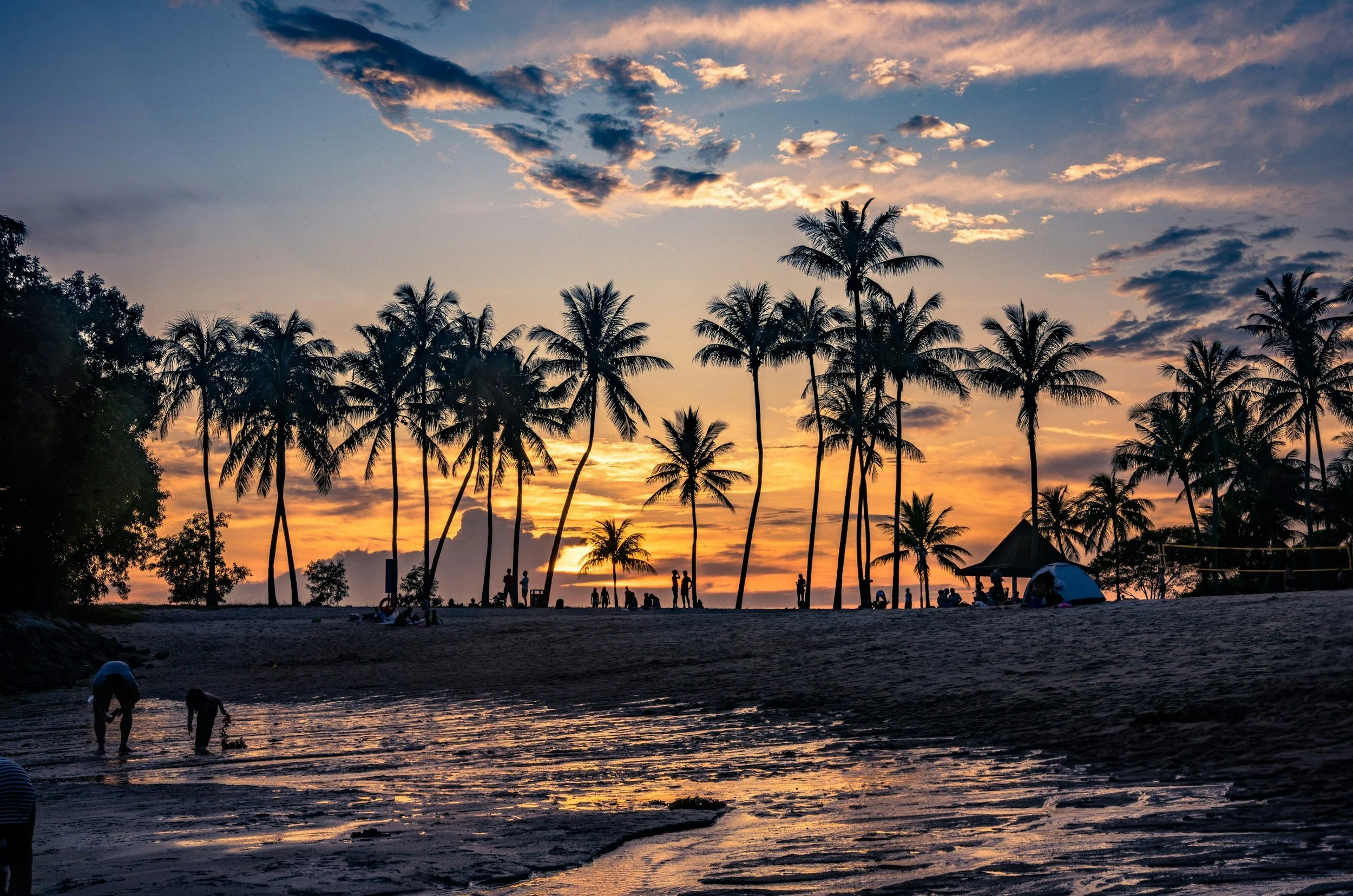 Silhouettes of palm trees against a colorful sunset sky at a beach, with people walking and relaxing near the water.