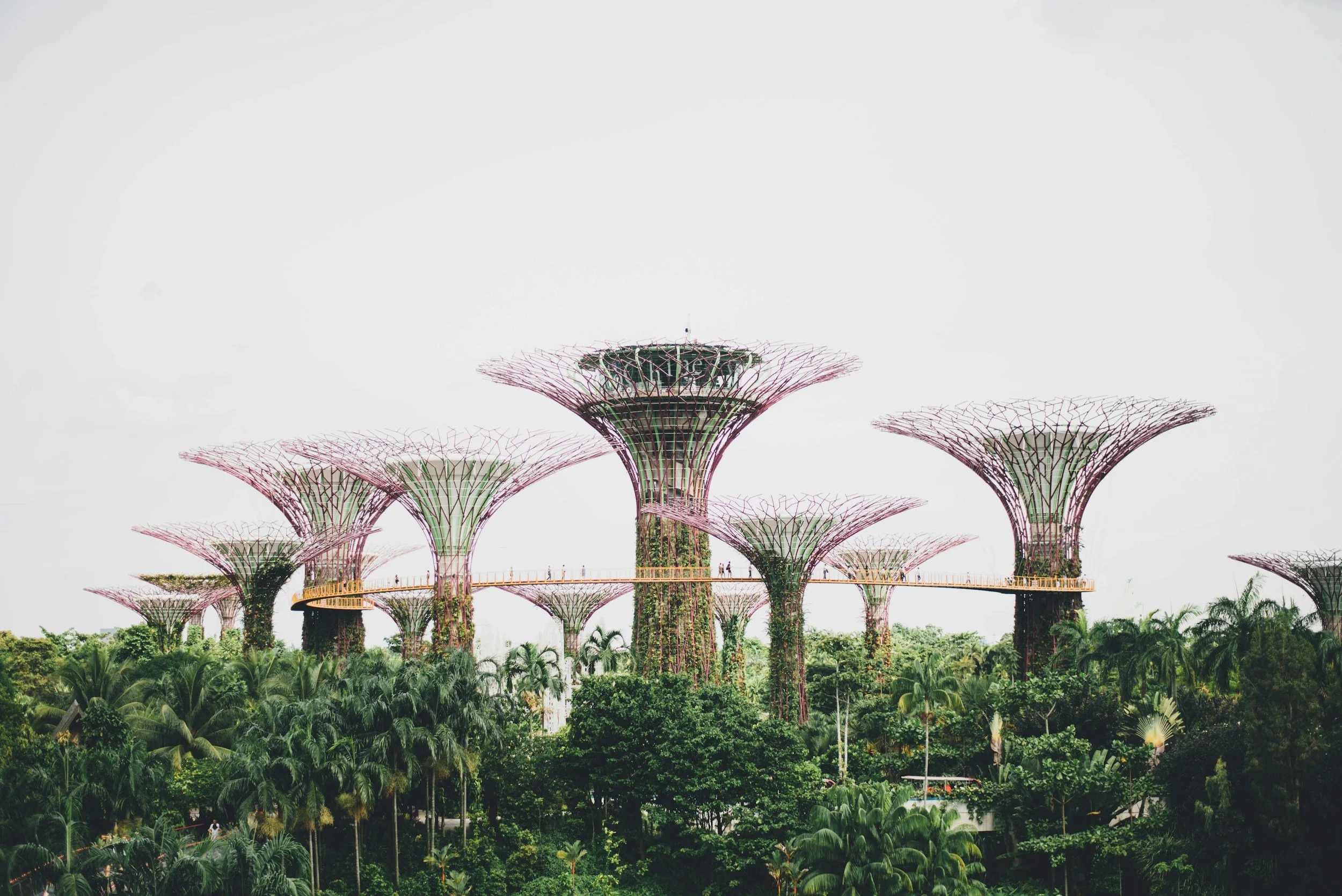 Why Even the Most Luxurious Spaces Can Feel Incomplete