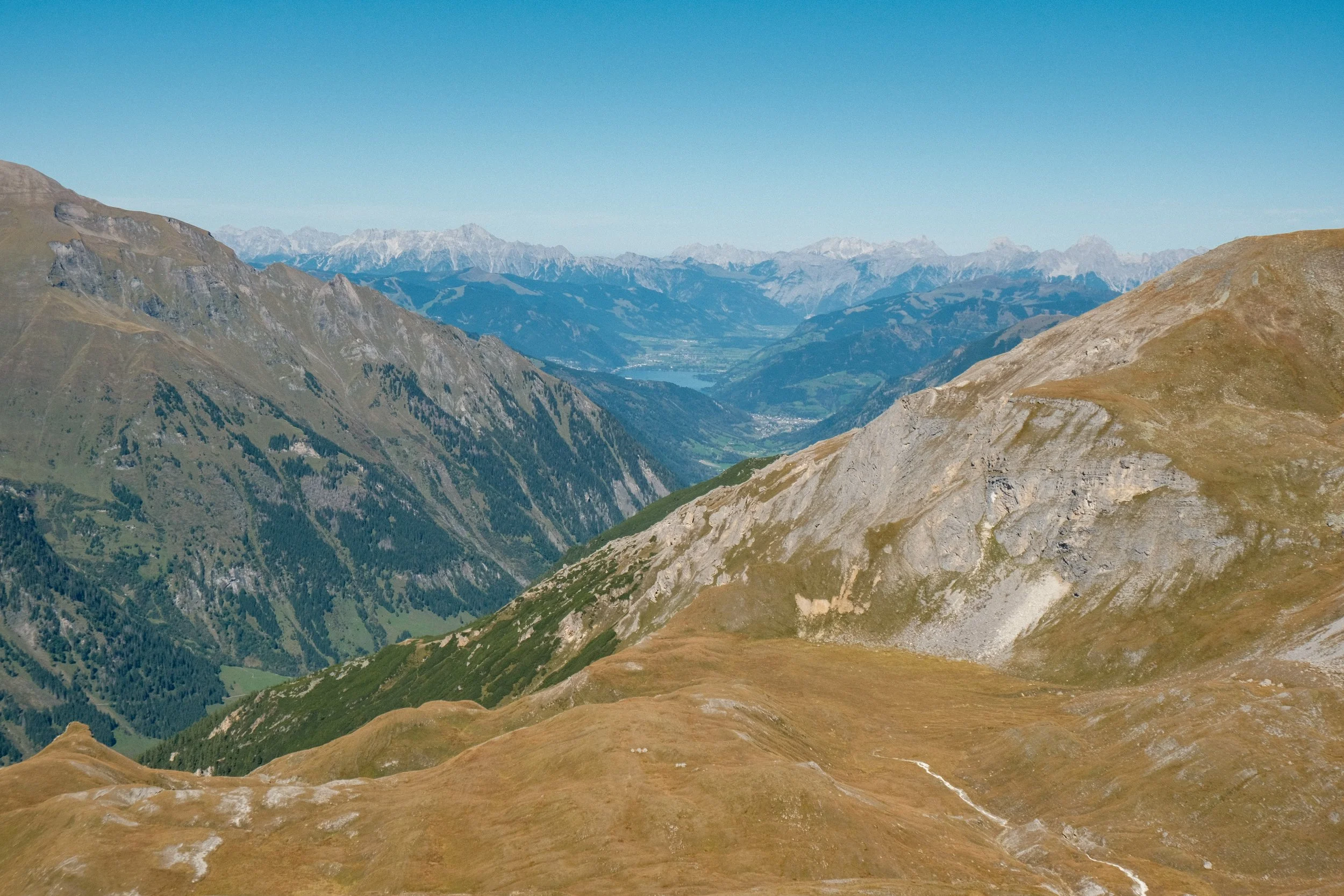 DSCF7250.jpg