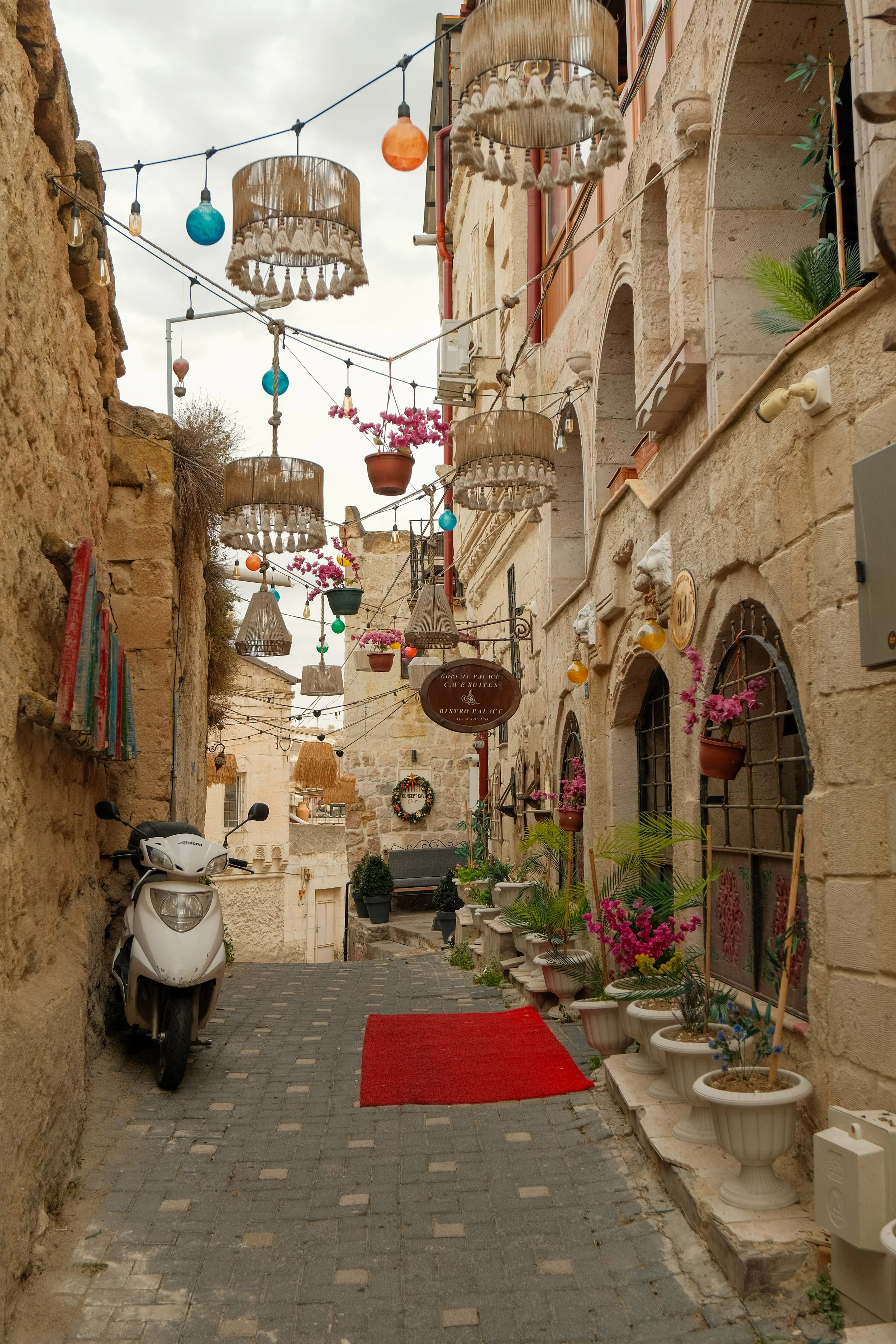 DSCF1418.jpg