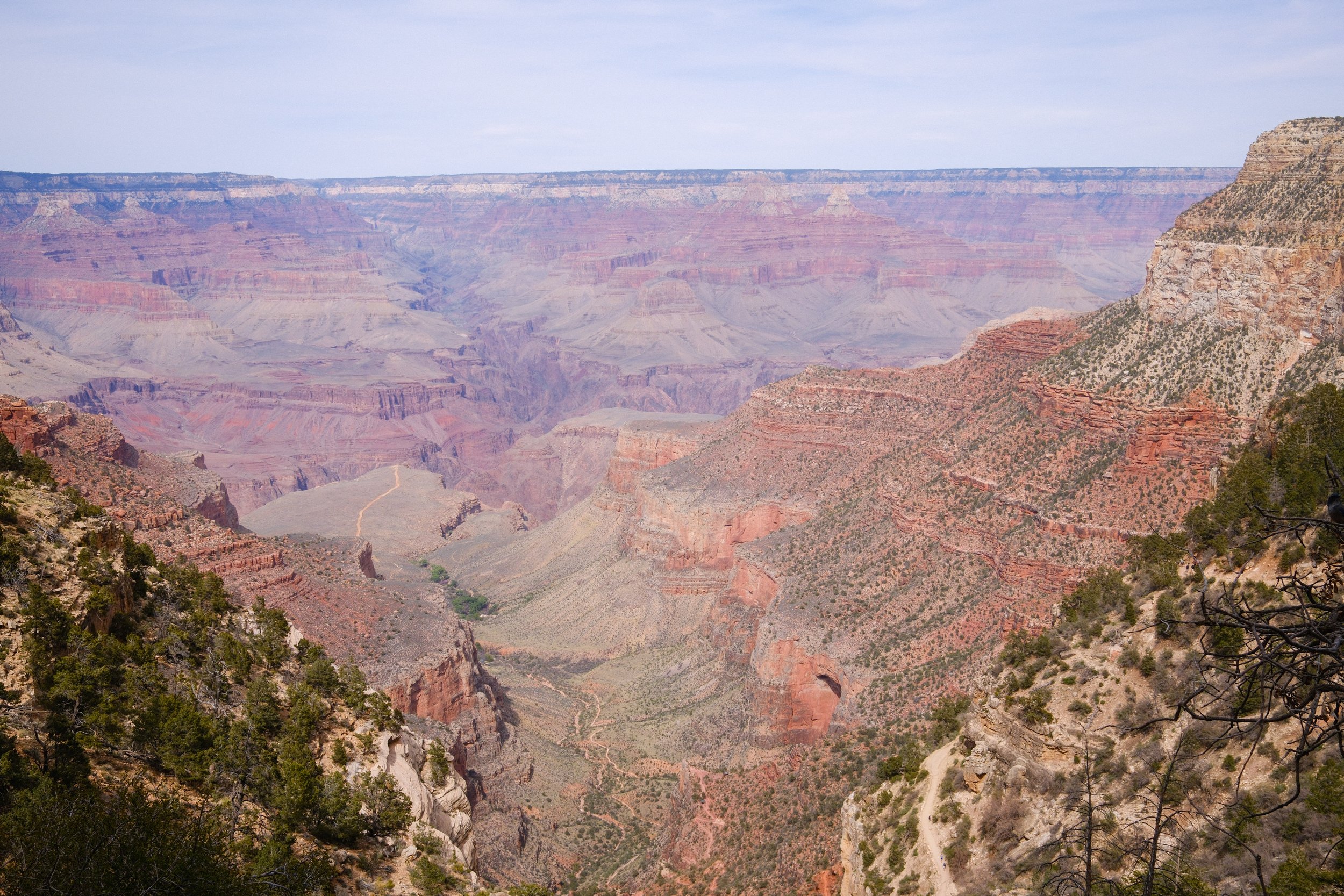 DSCF0627.jpg