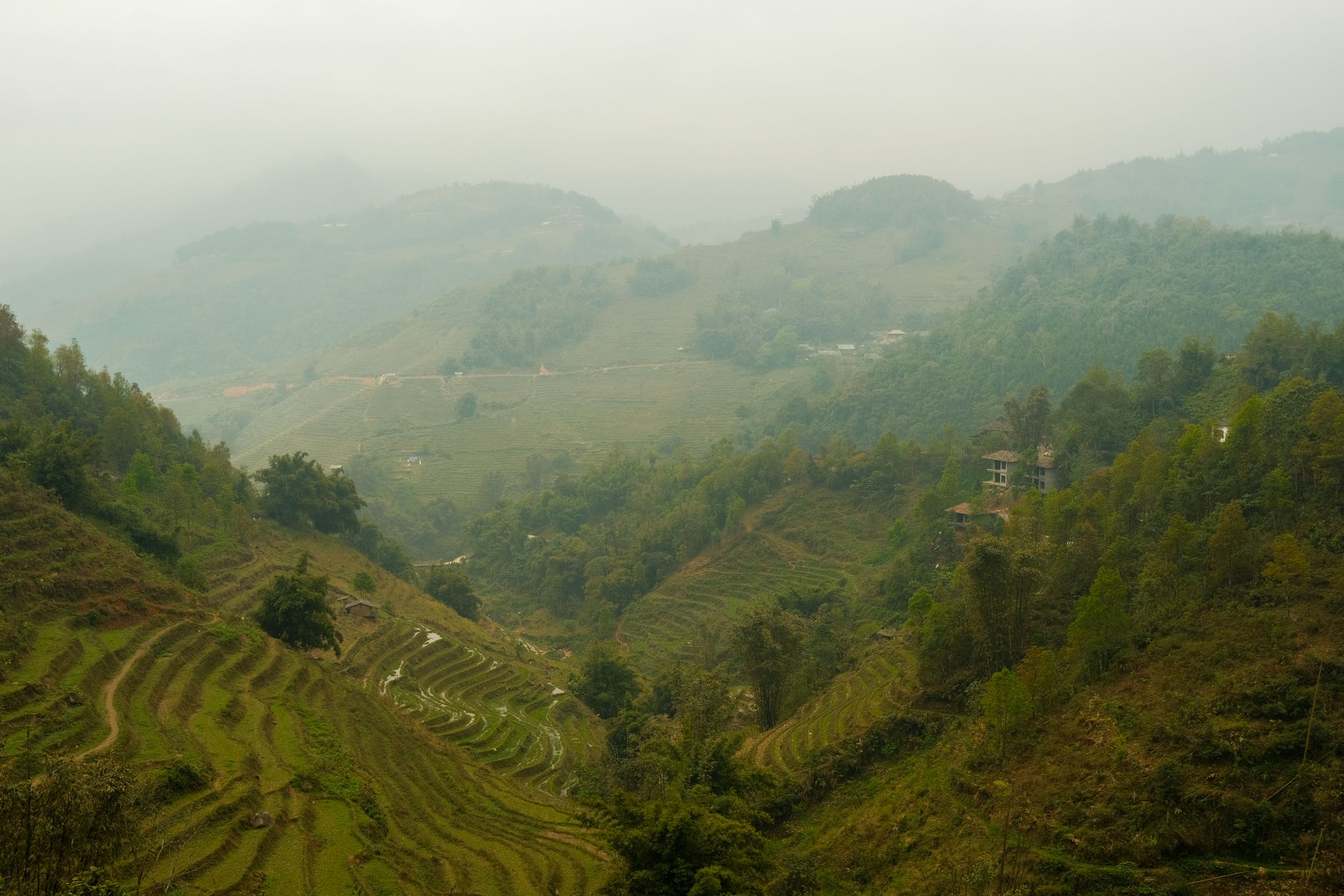 DSCF6178.jpg