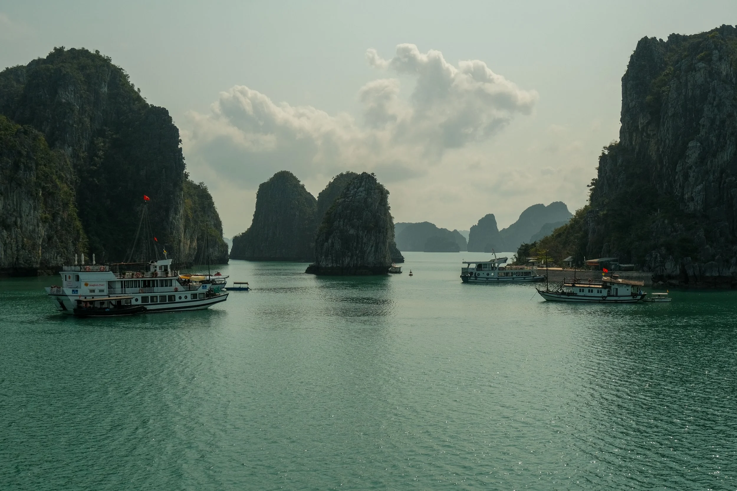 DSCF6619.jpg