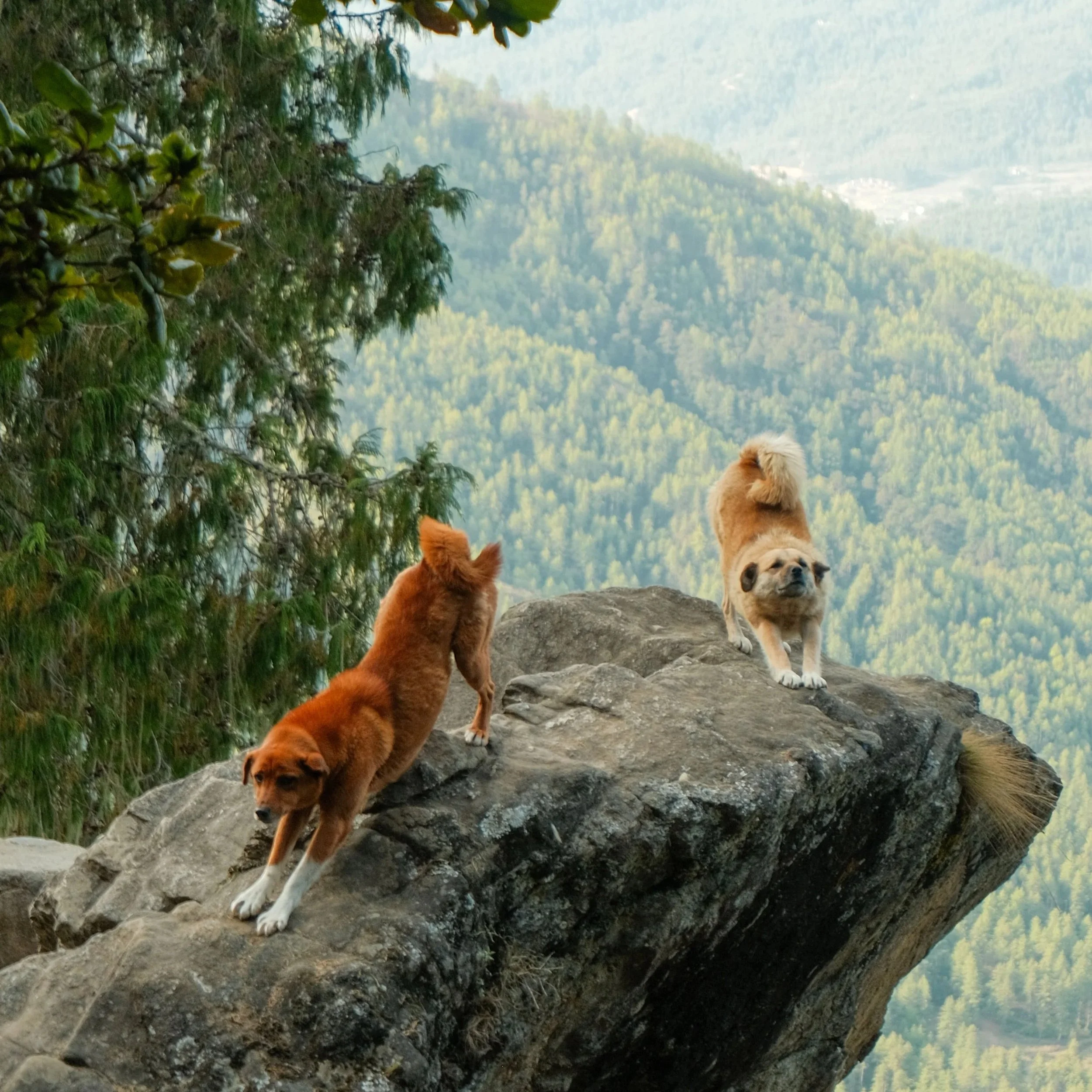 DSCF2127.jpg