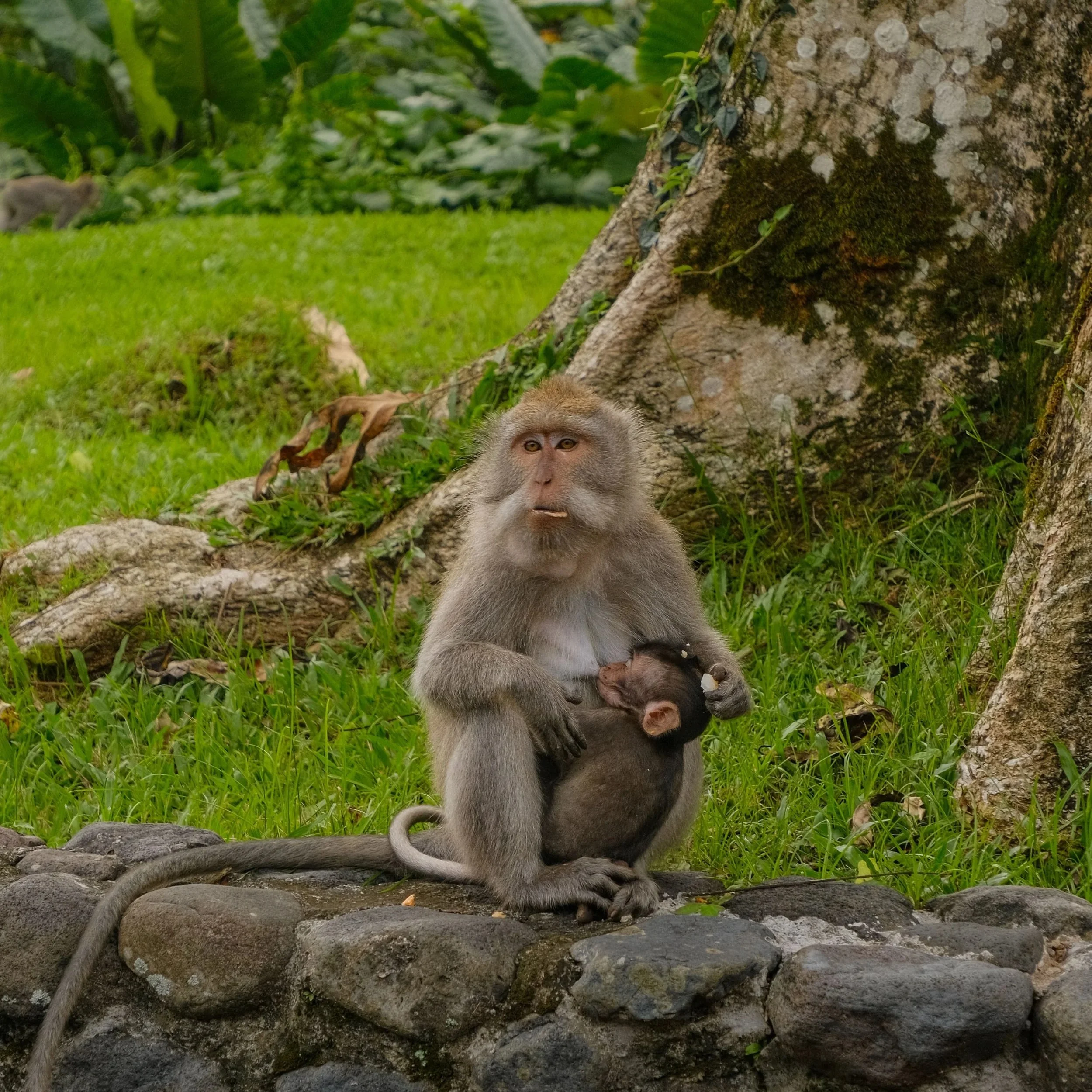 DSCF2407.jpg