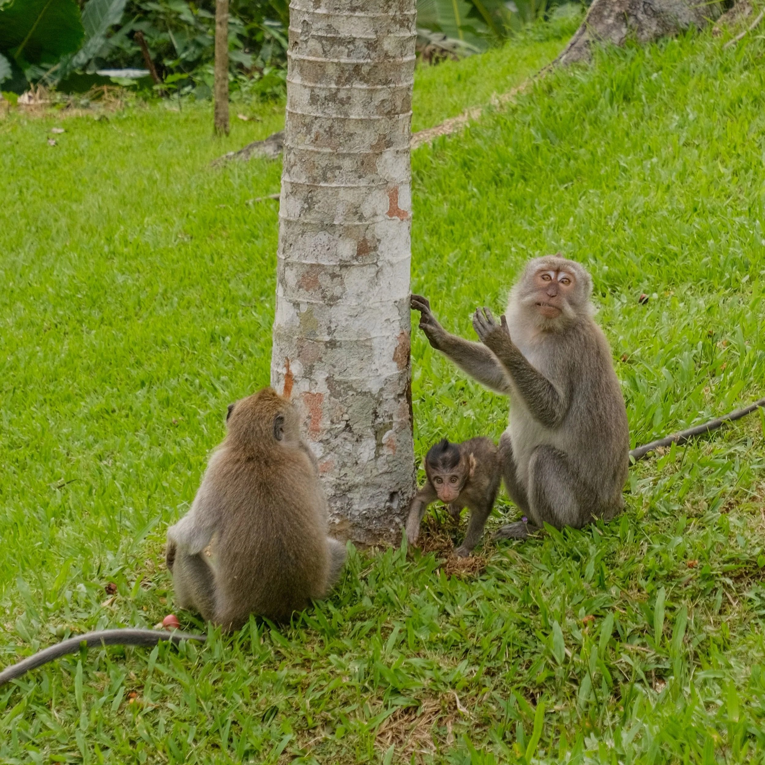 DSCF2380.jpg