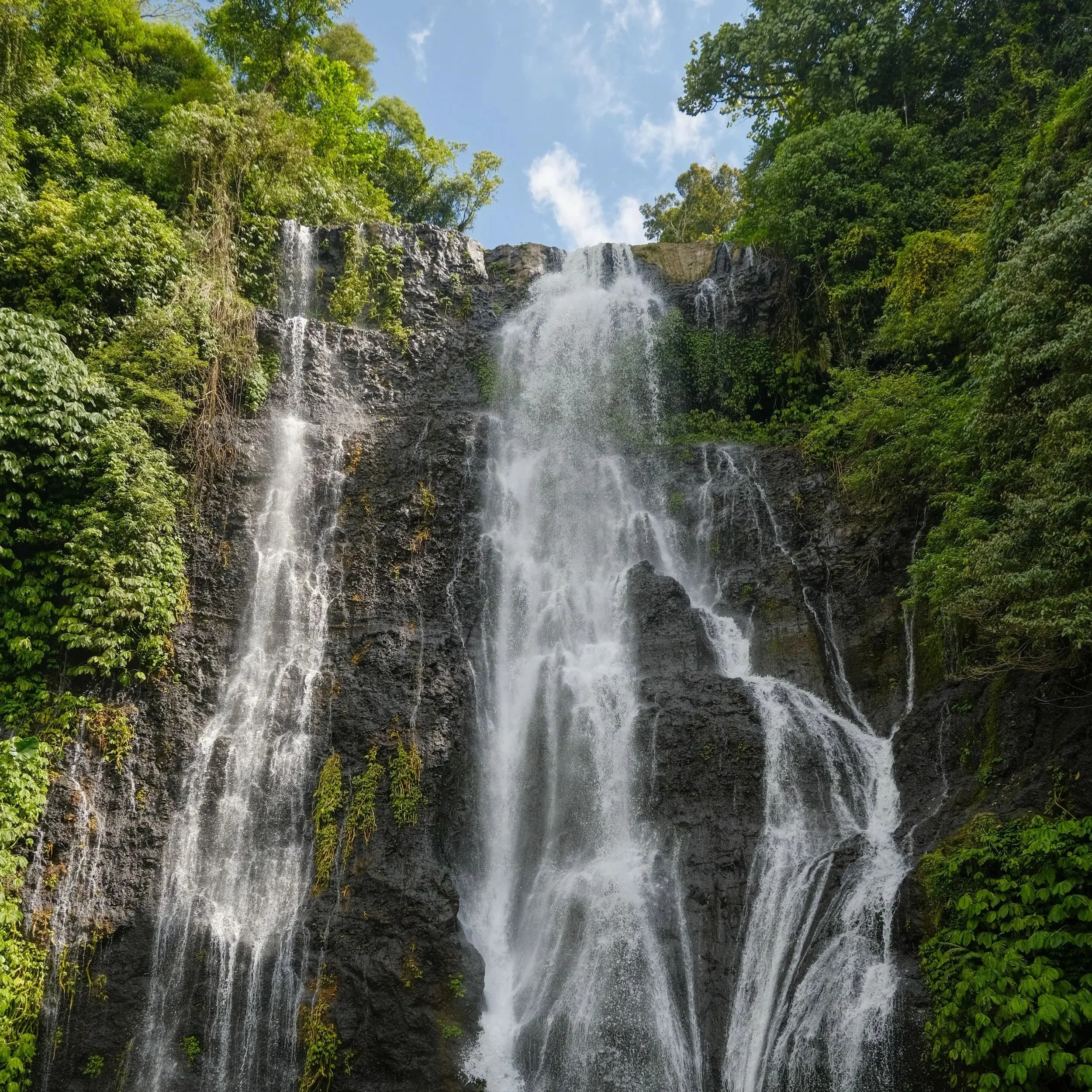 DSCF2660.jpg
