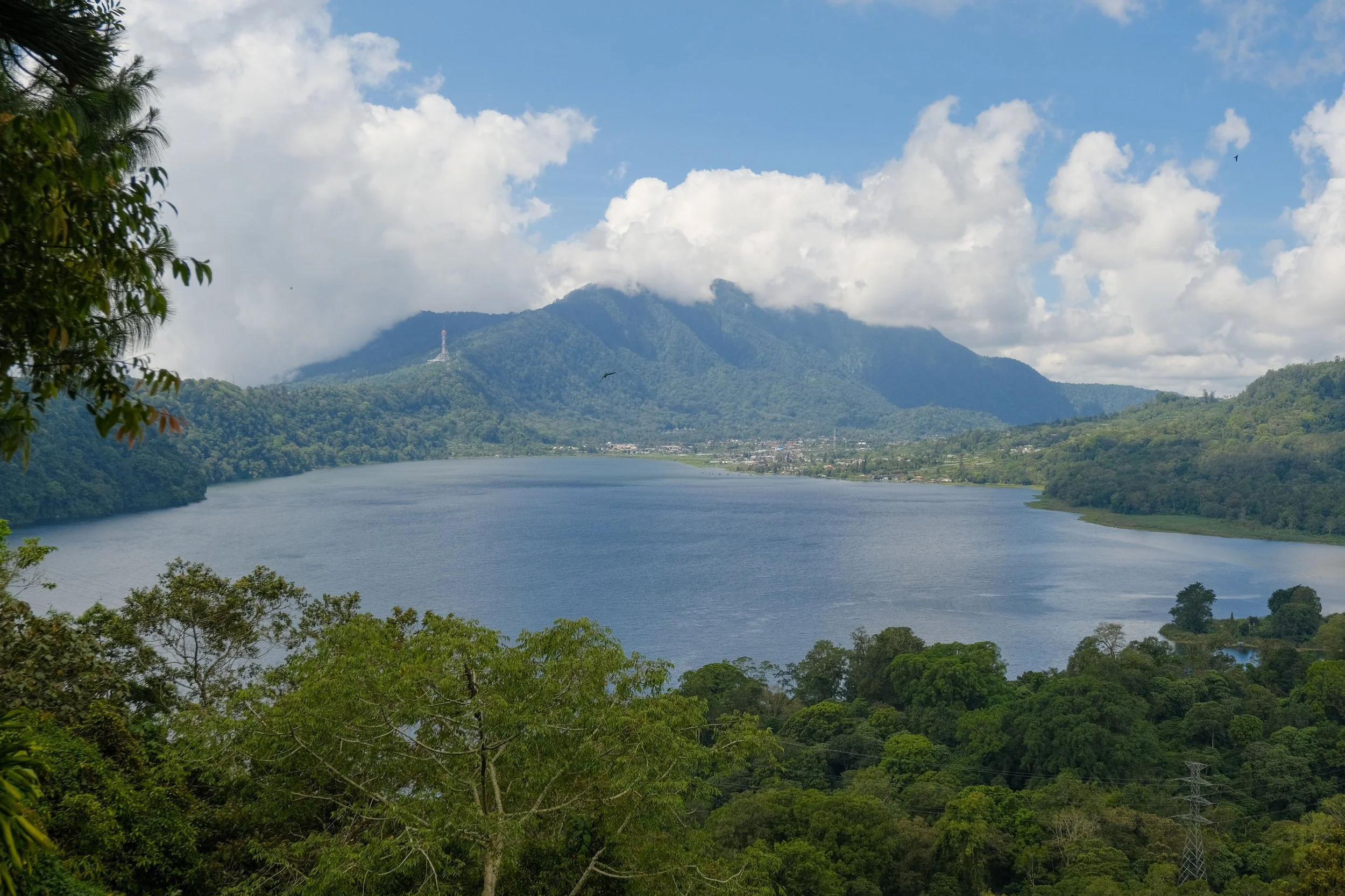 DSCF2589.jpg