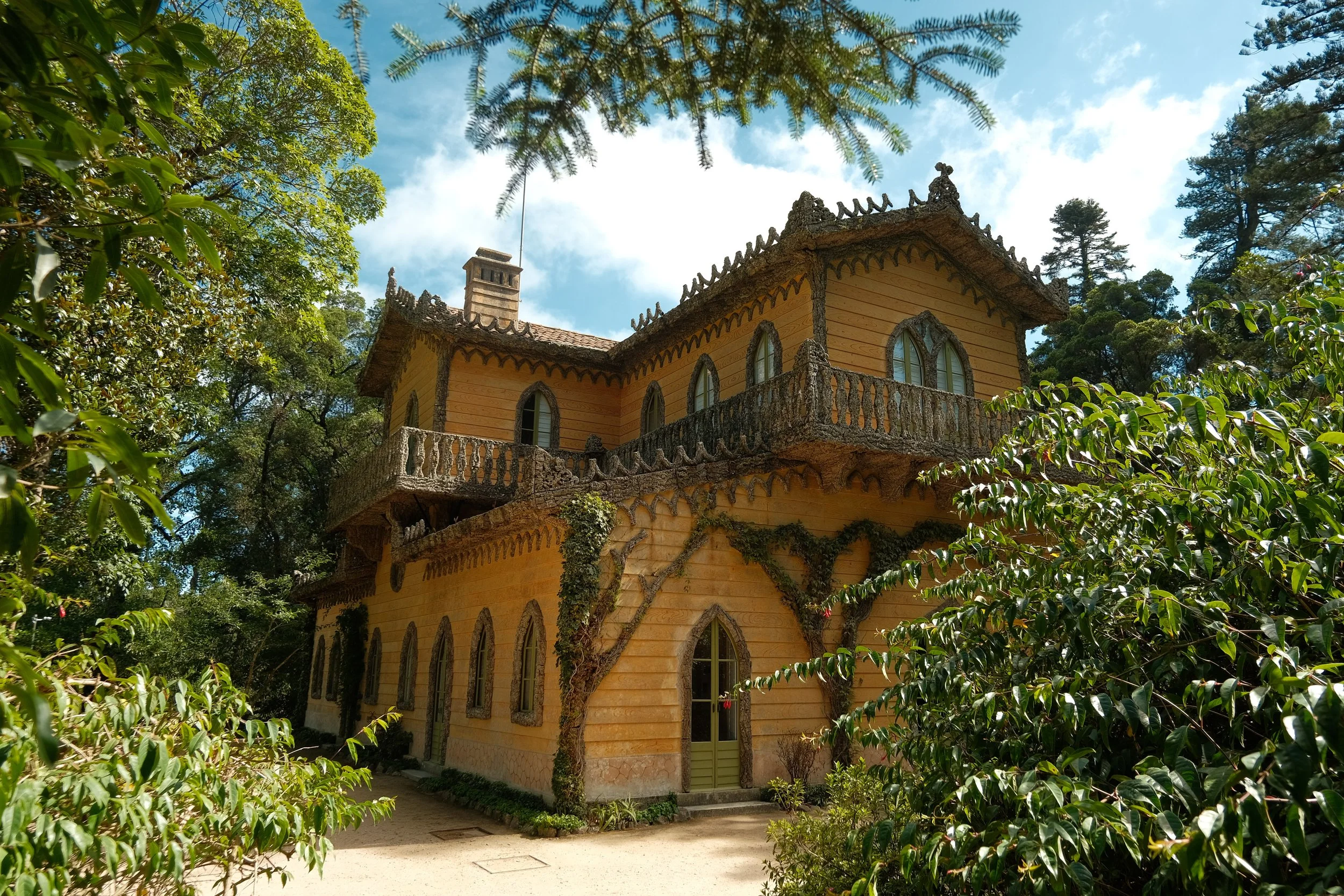 DSCF5319.jpg