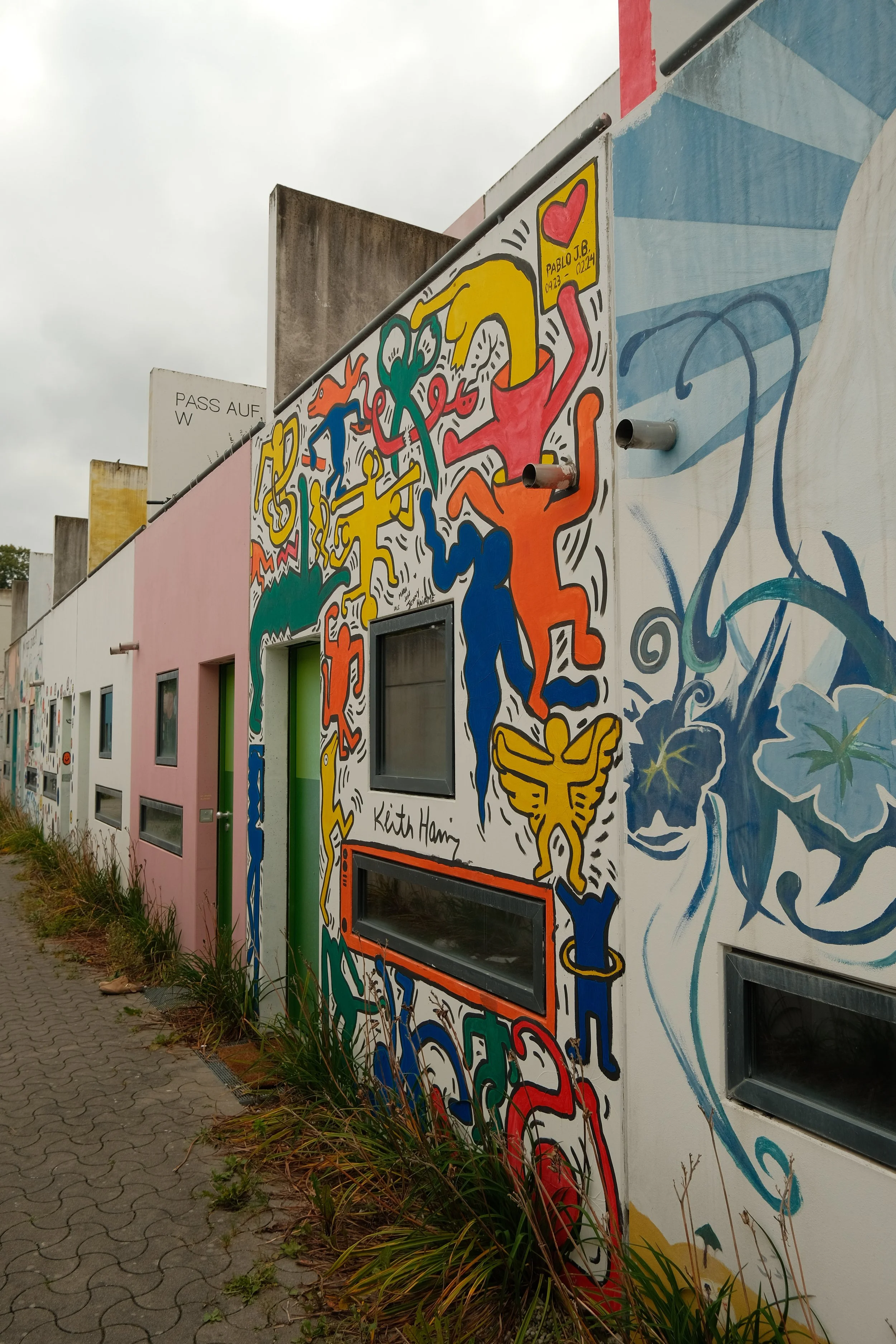 DSCF7833.jpg