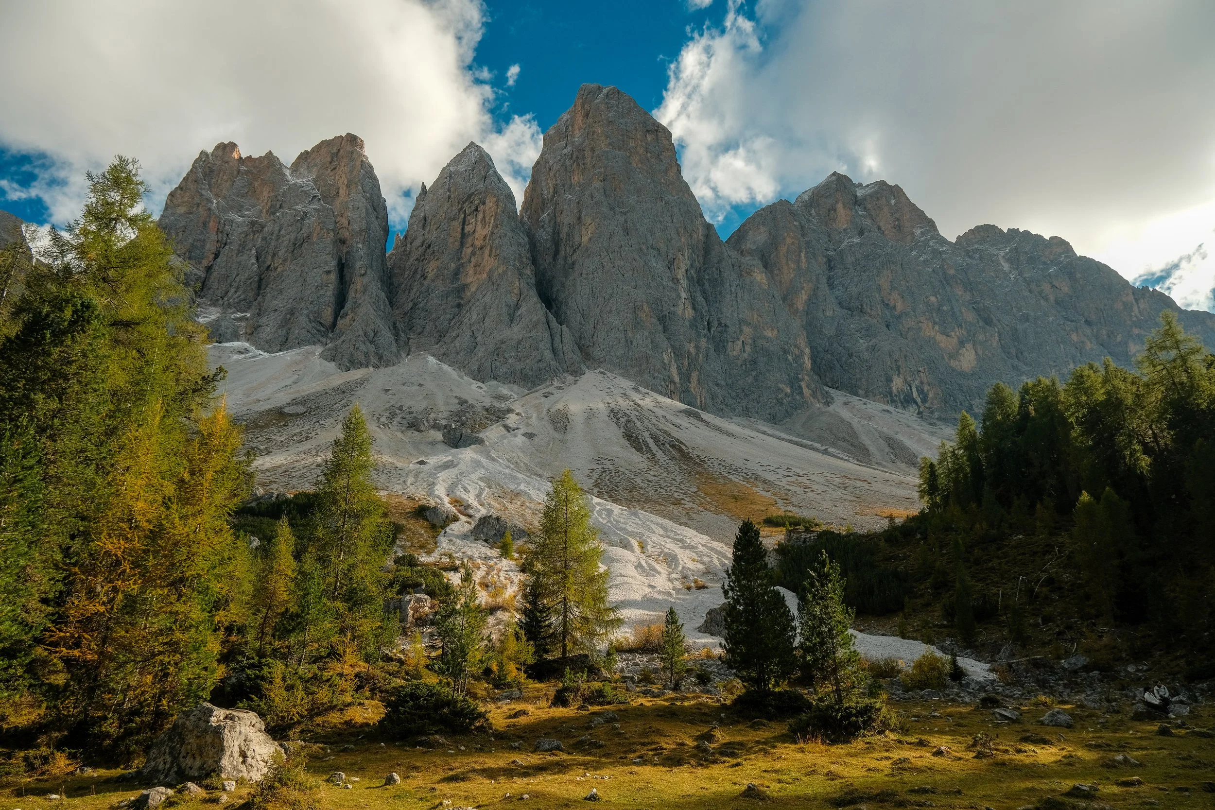 DSCF8355.jpg