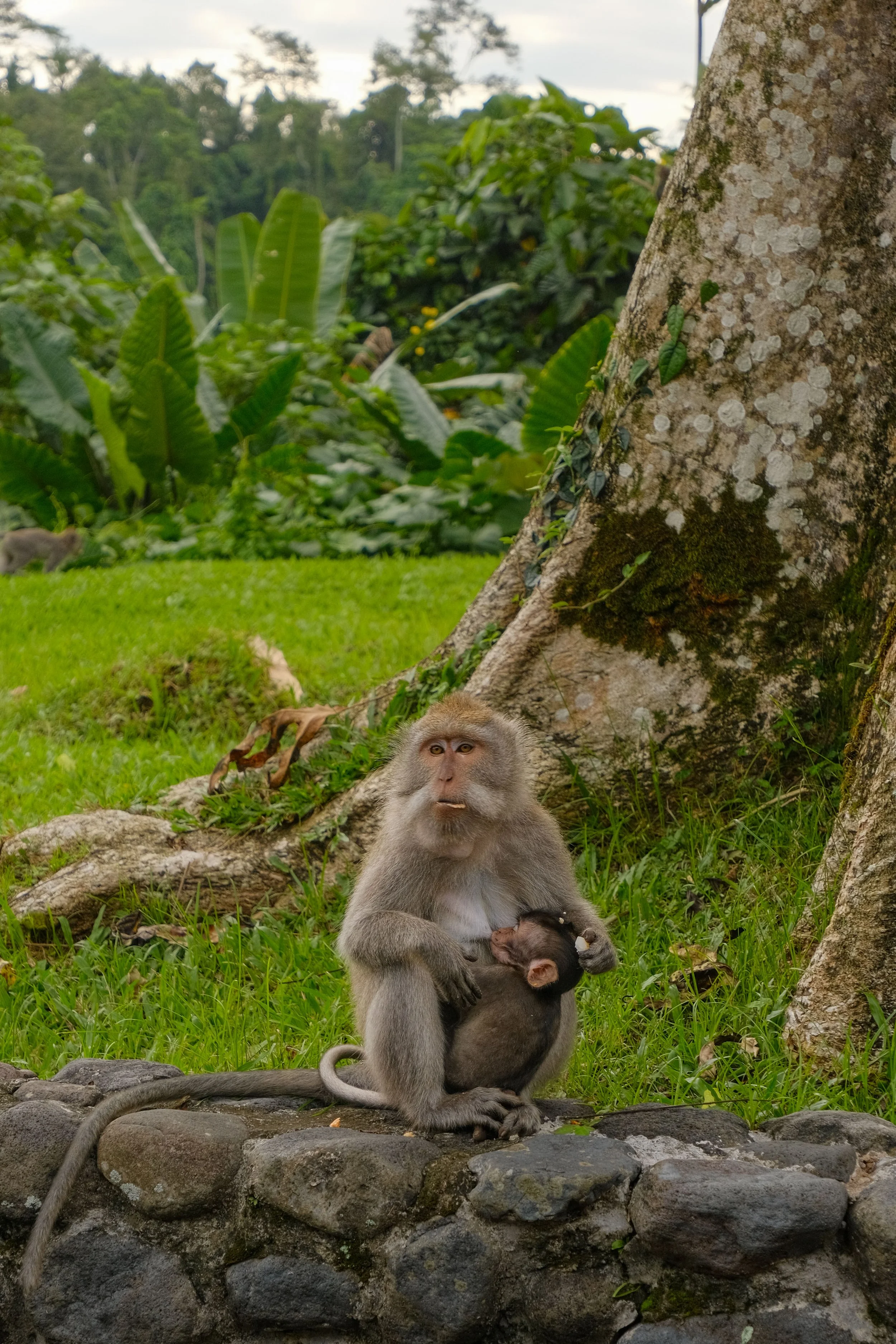 DSCF2407.jpg