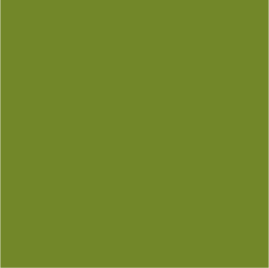 Un fond vert uniforme