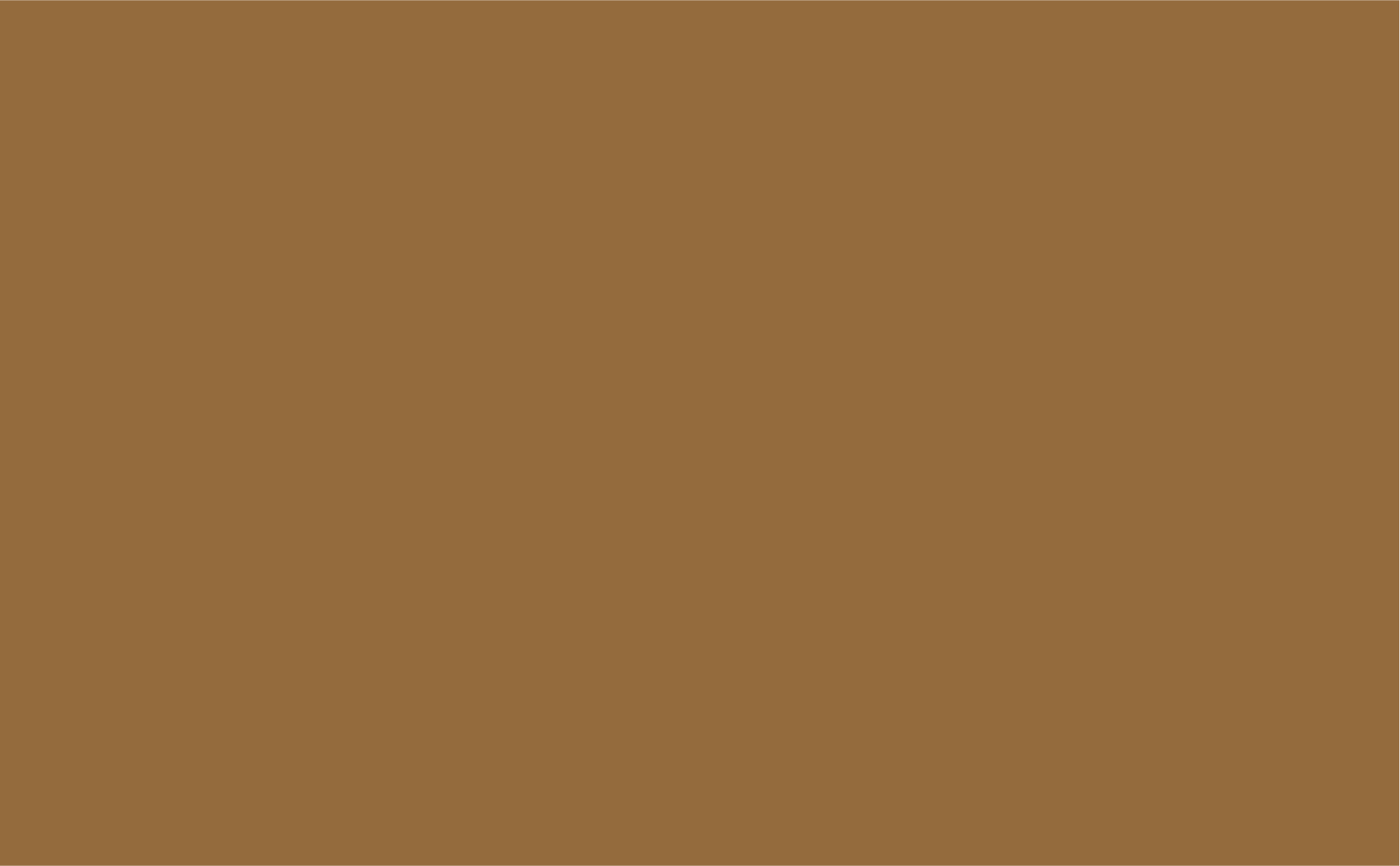 L'image présente une couleur marron uniforme sans détails visibles.