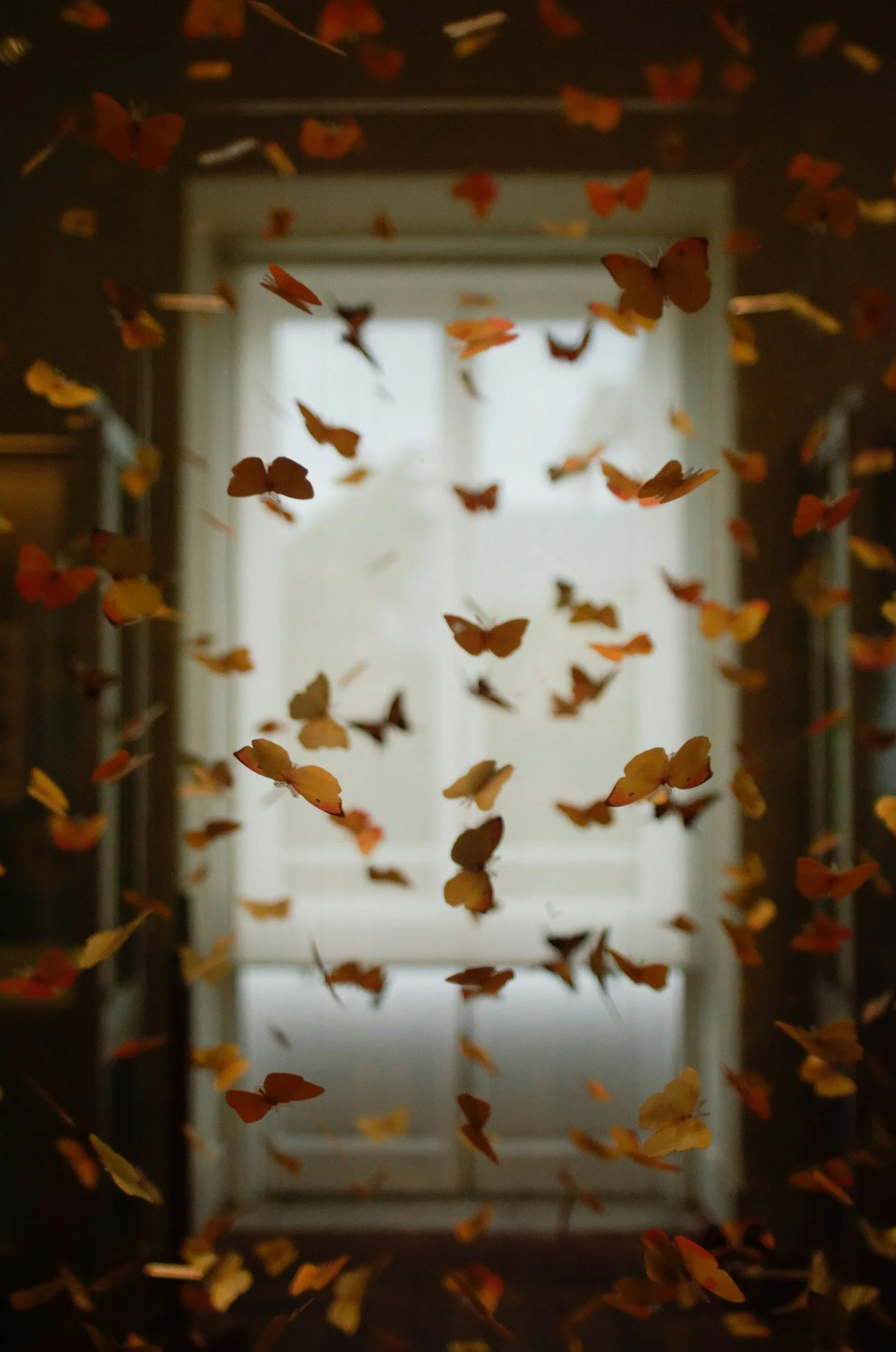 A corridor with a door at the end, viewed through a swarm of small orange butterflies.