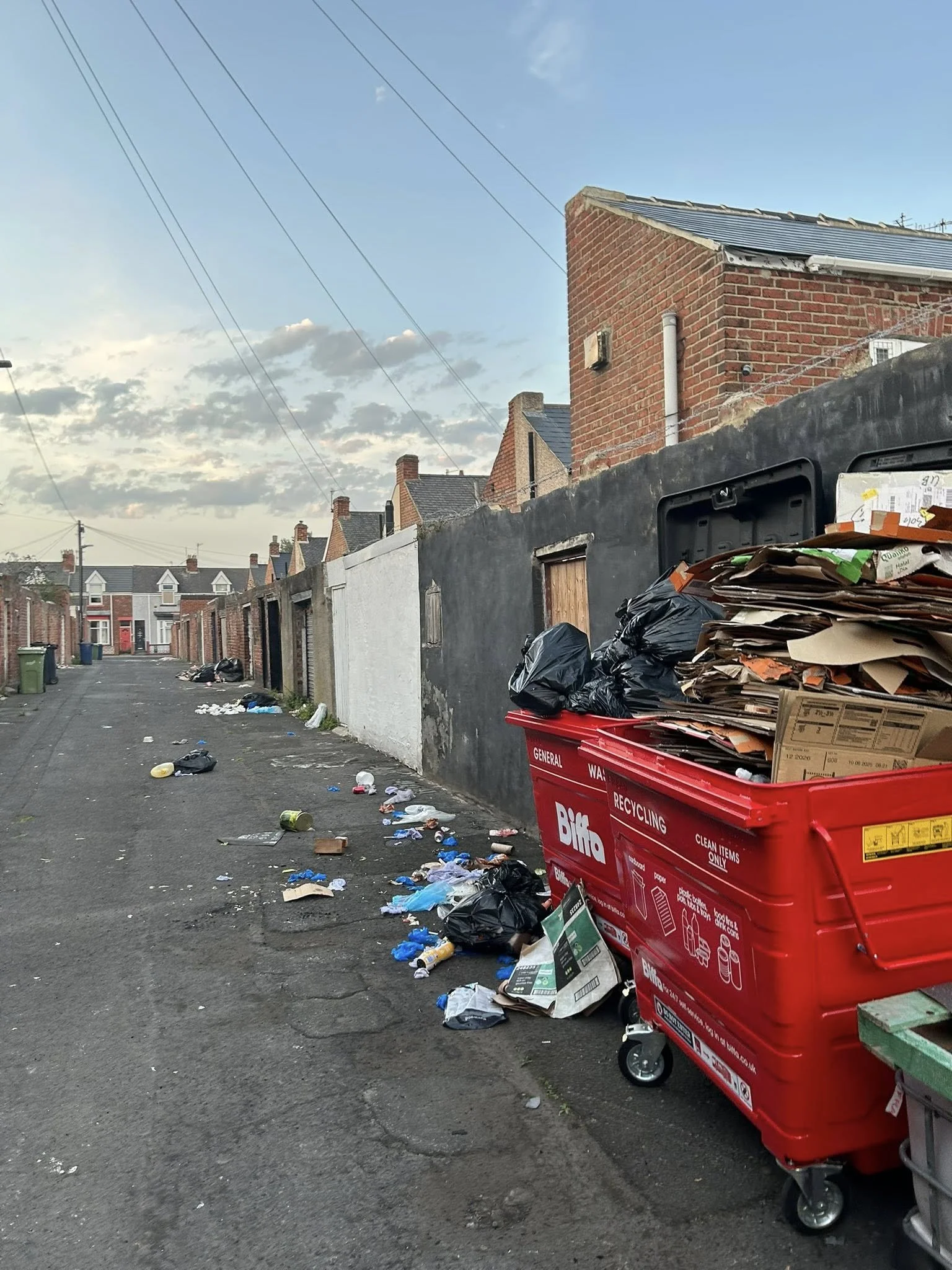 Clean up High Barnes and Eden Vale