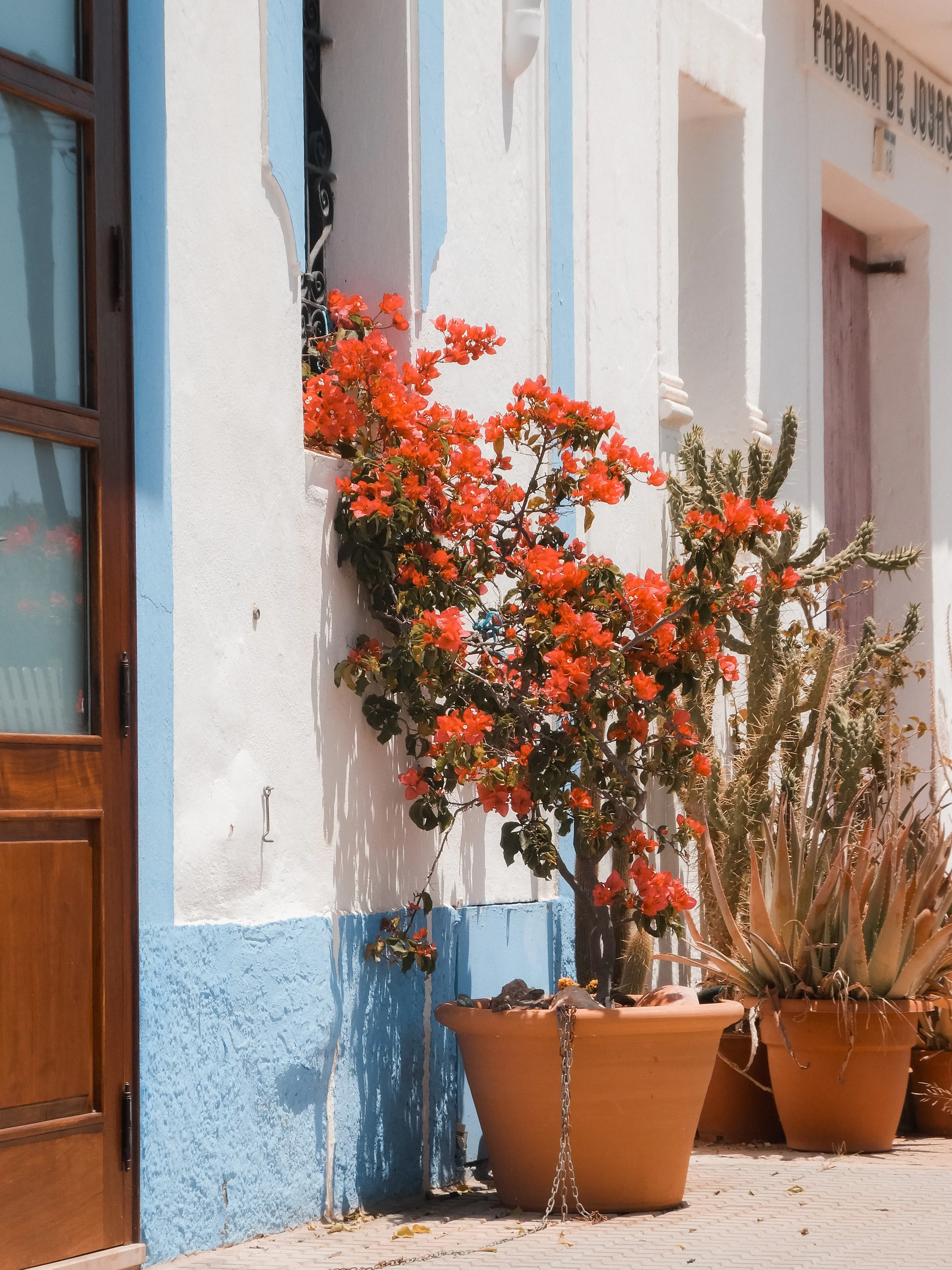 Werkt manifesteren écht of is het een illusie?