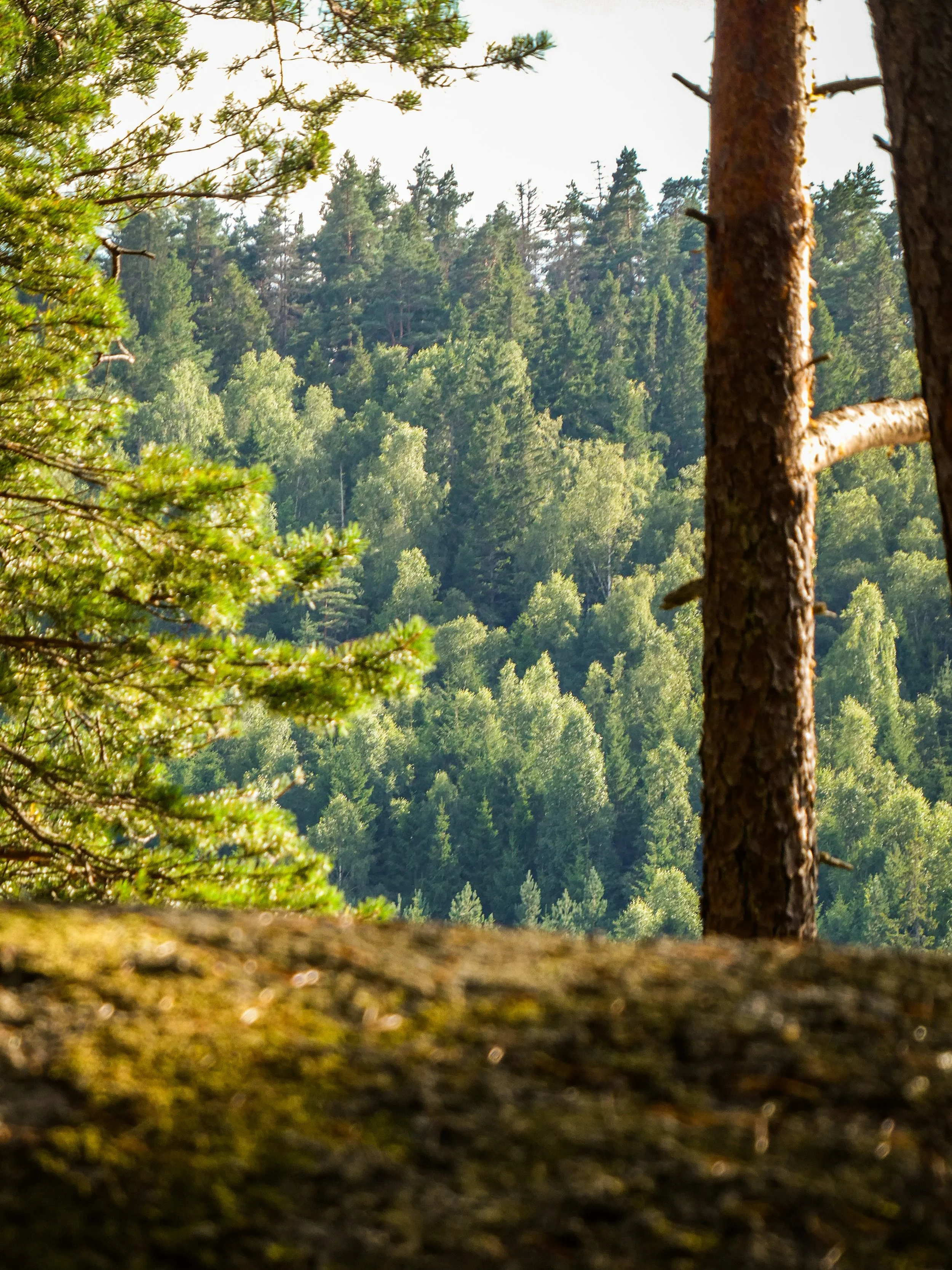 Spiritualiteit als nieuwe religie. 