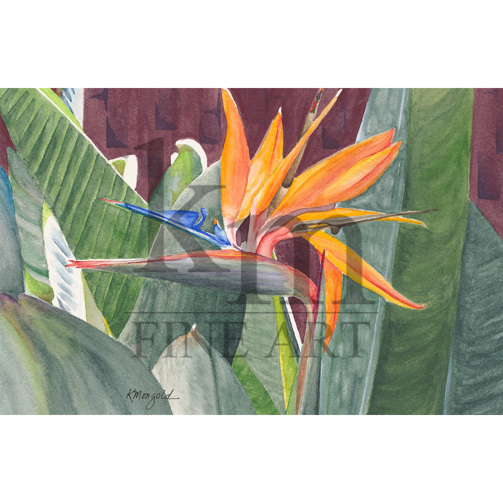 sqlwm Bird in Paradise.png