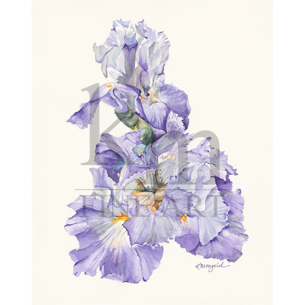 sqlwm Purple Iris Cluster.png