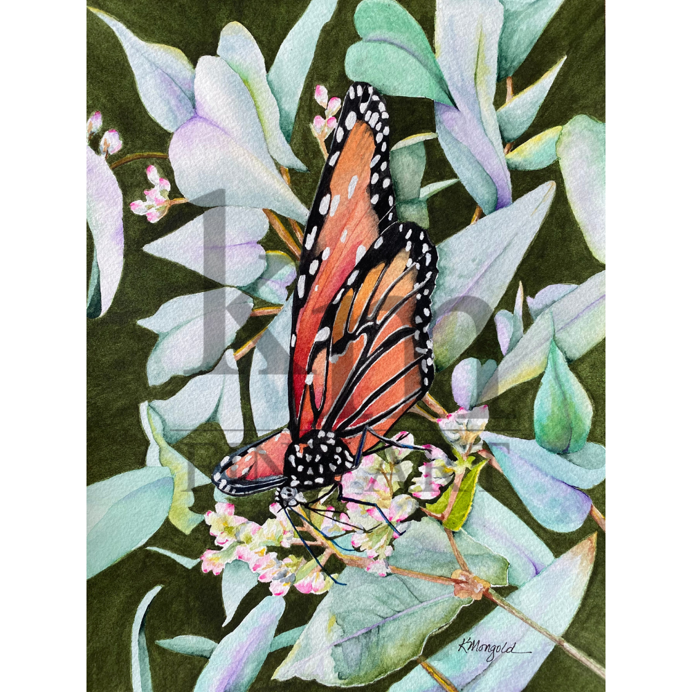 sqlwm Flutter-By.png