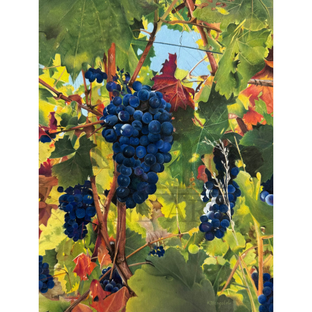 THE HARVEST'S A-PLENTY