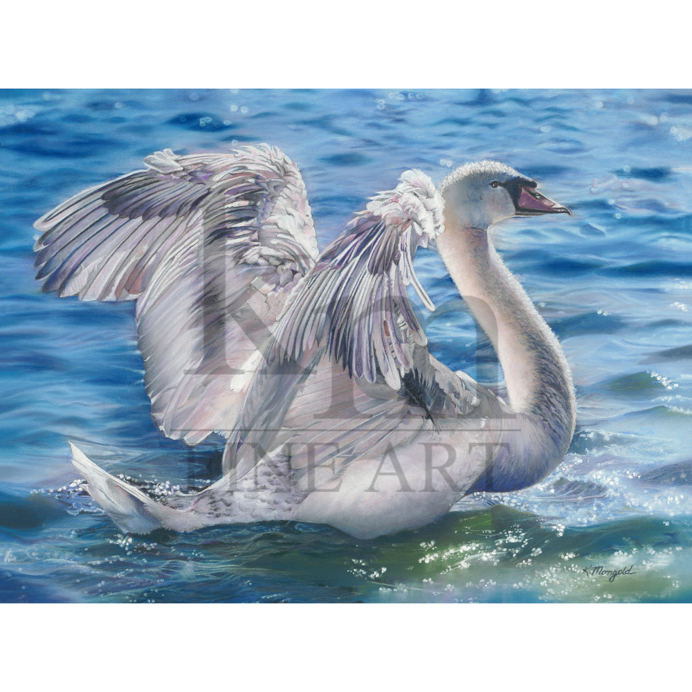 sqlwm Adagio for Wings.png