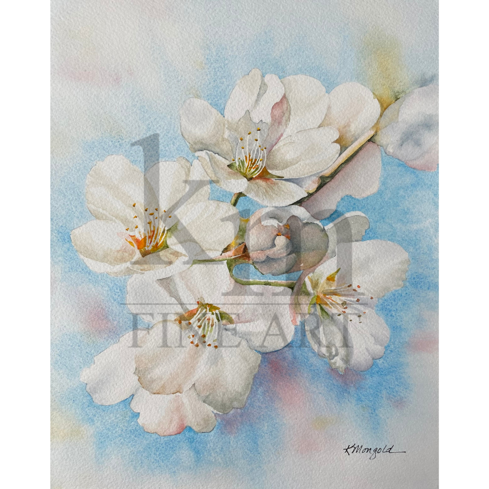 sqlwm Seeing the Light.png