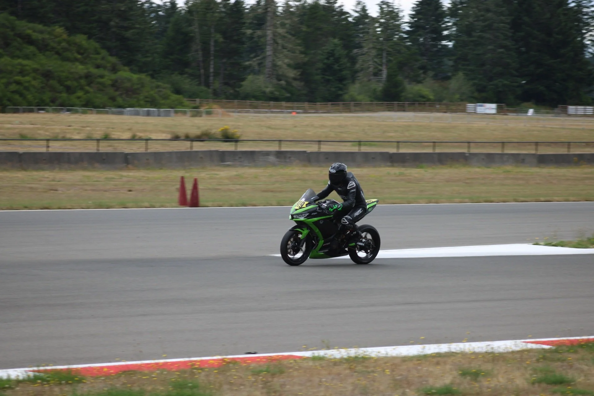 IMG_3337.JPG