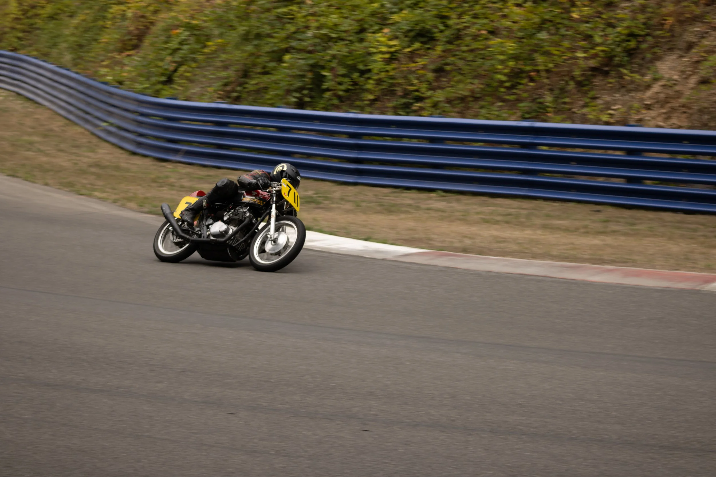 IMG_1797.jpg