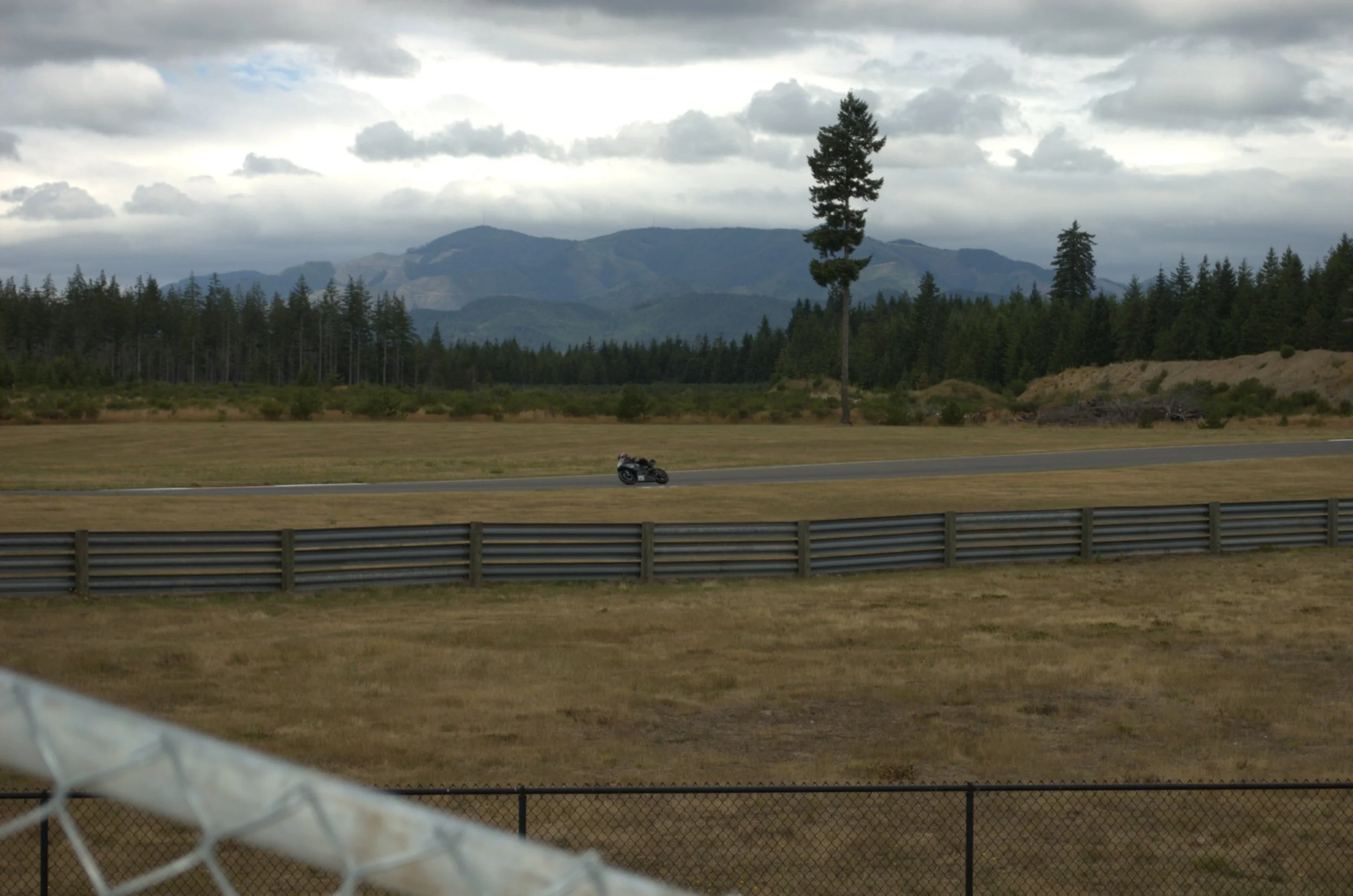 DSC_4239.jpeg