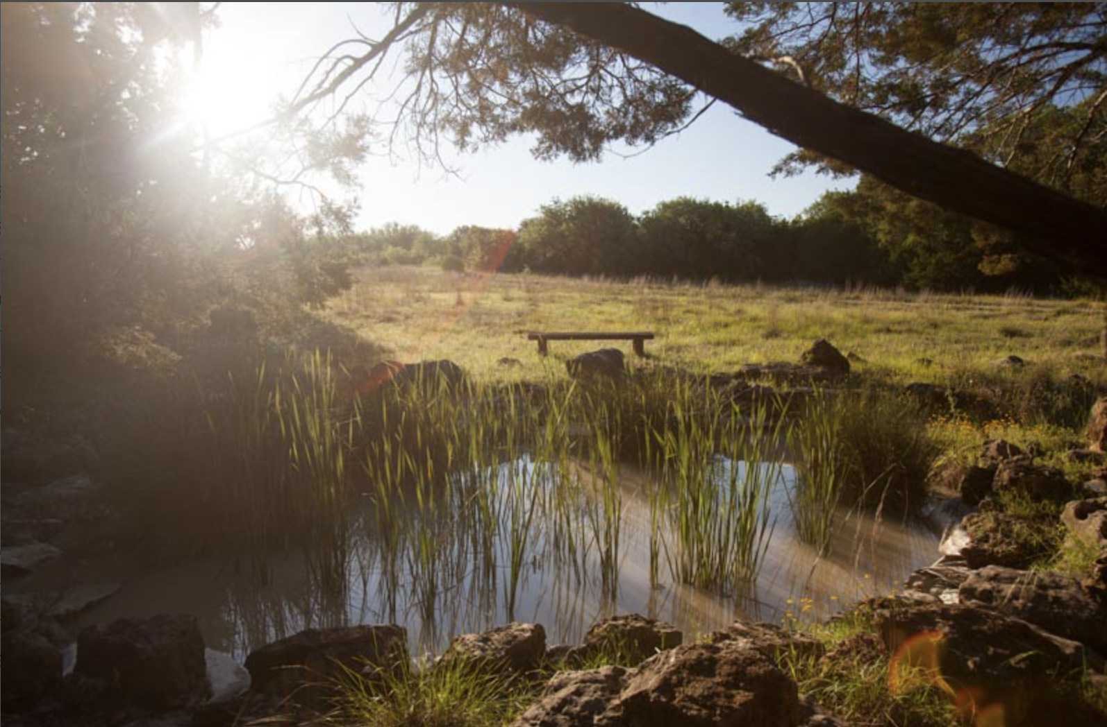 Screenshot 2026-01-30 at 1.59.37 PM.png