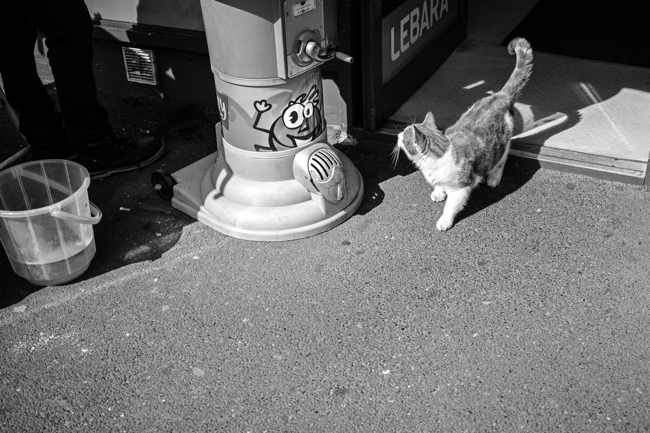 DSCF9035_R.jpg