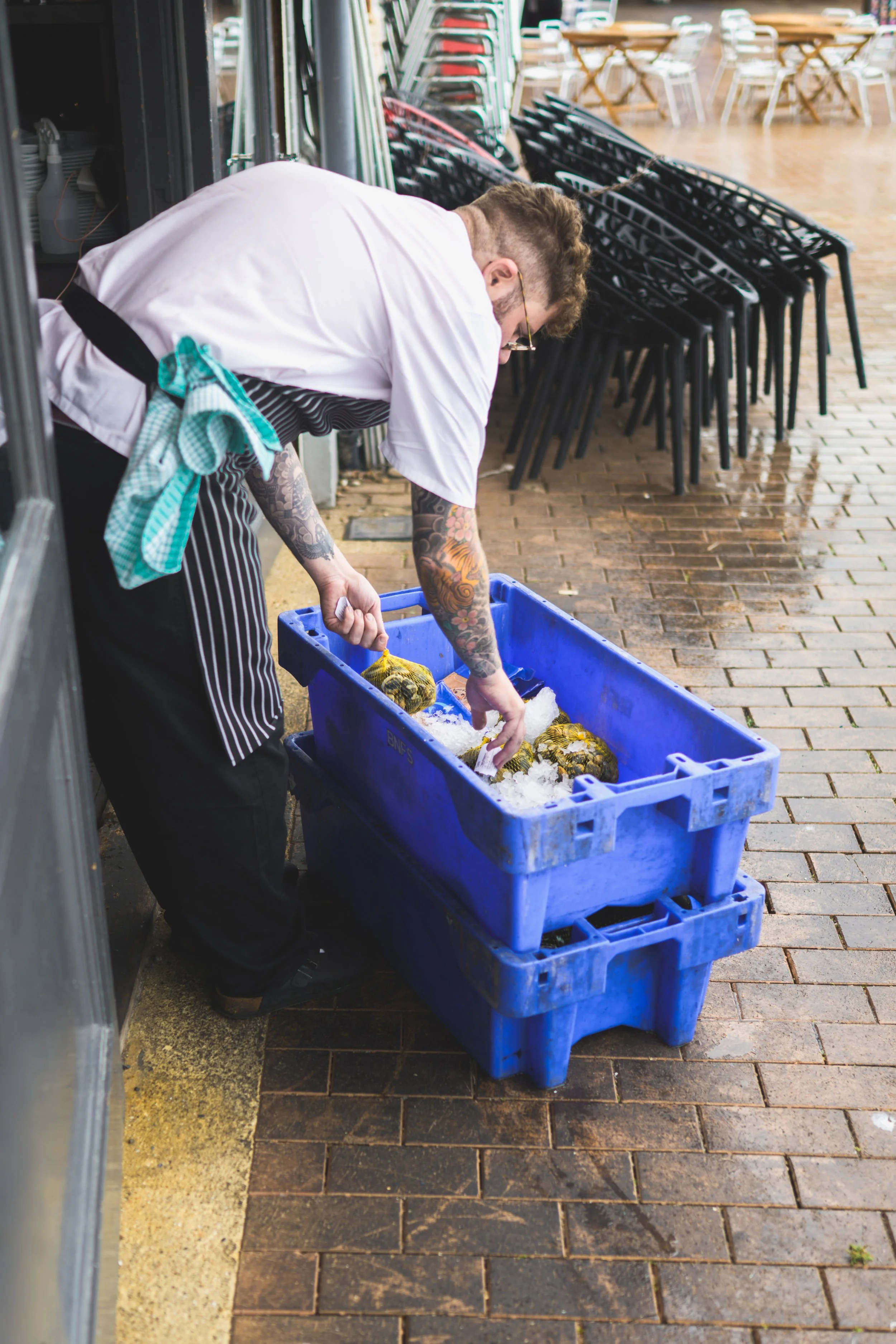 Documentary photography. Local restaurant  owners prepping the freshly caught sea food for the day ahead.