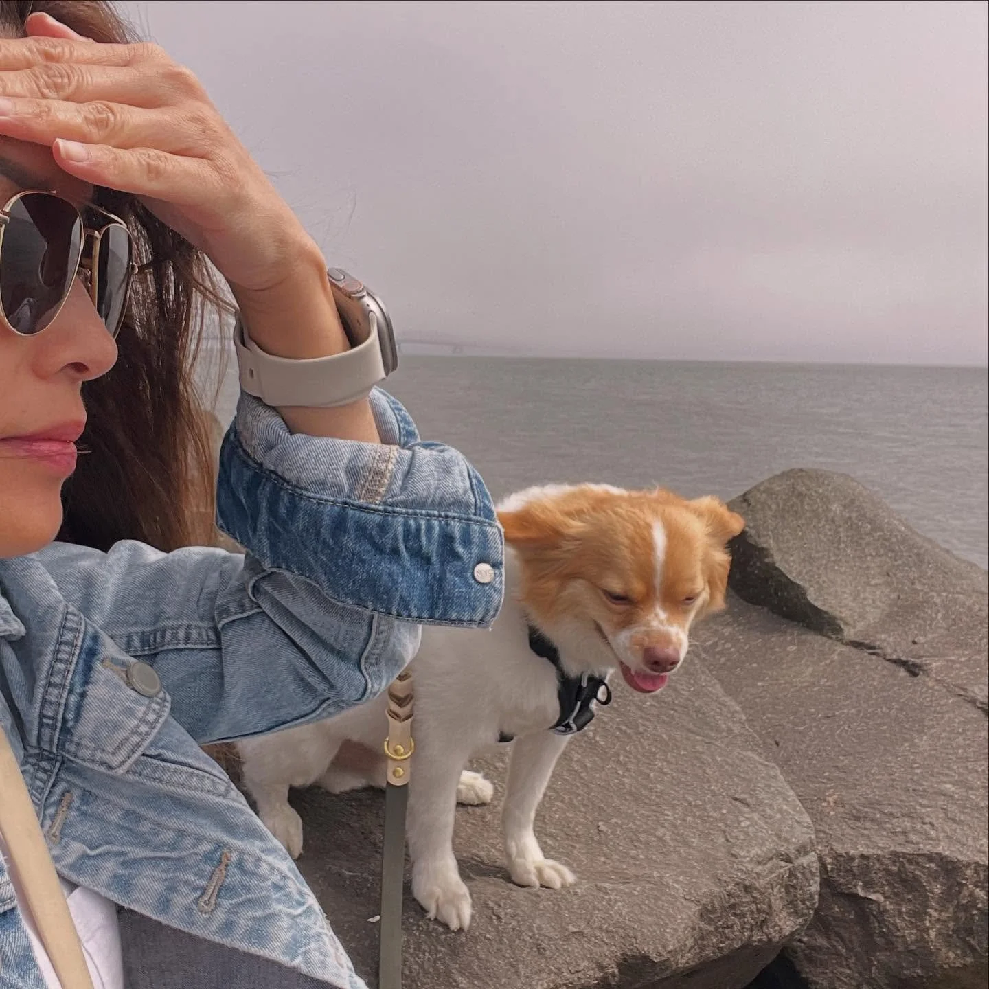 About to cross back into Oregon again via the scariest bridge I&rsquo;ve ever crossed in my life. I looked it up, it&rsquo;s a 4 miles stretch. The Astoria-Megler Bridge is so low on the water it feels like you&rsquo;re  practically skimming the wate