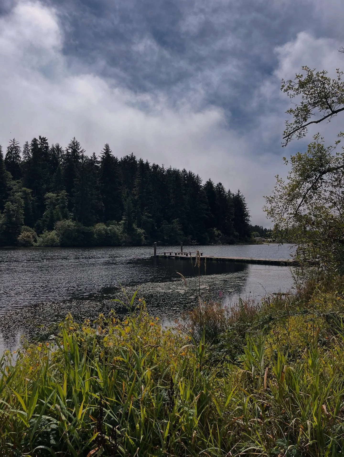 Sometimes wrong turns finds you going to unexpected places for all the right reasons.