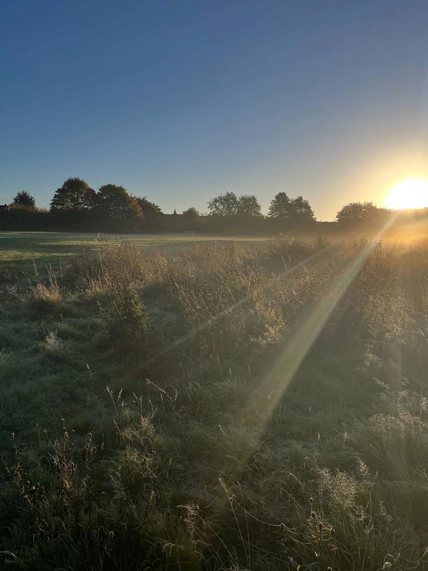 ✨As the sunshine fades, so can our energy✨

The seasons are shifting. The days are shorter, the mornings darker, and many of us feel our energy dip with the change.
It&rsquo;s not just in your head, your body and nervous system respond to the rhythm 