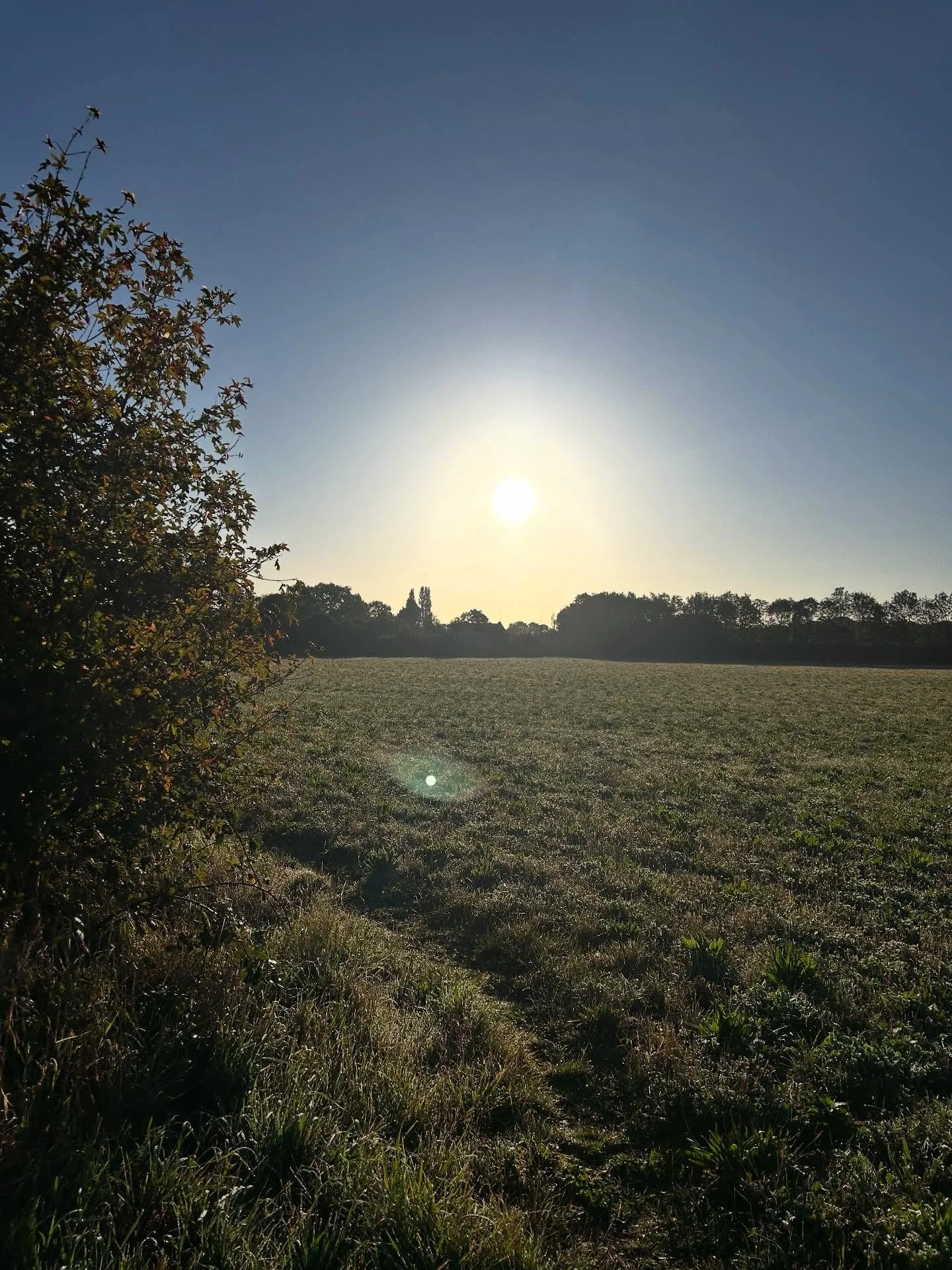 🍂✨ Autumn Equinox ✨🍂

Today we meet the equinox- a rare moment of perfect balance between light and dark.
Nature shows us it&rsquo;s a time to:

🌾 Harvest what has grown
🍁 Release what no longer serves
🌙 Slow down and prepare for what&rsquo;s ah