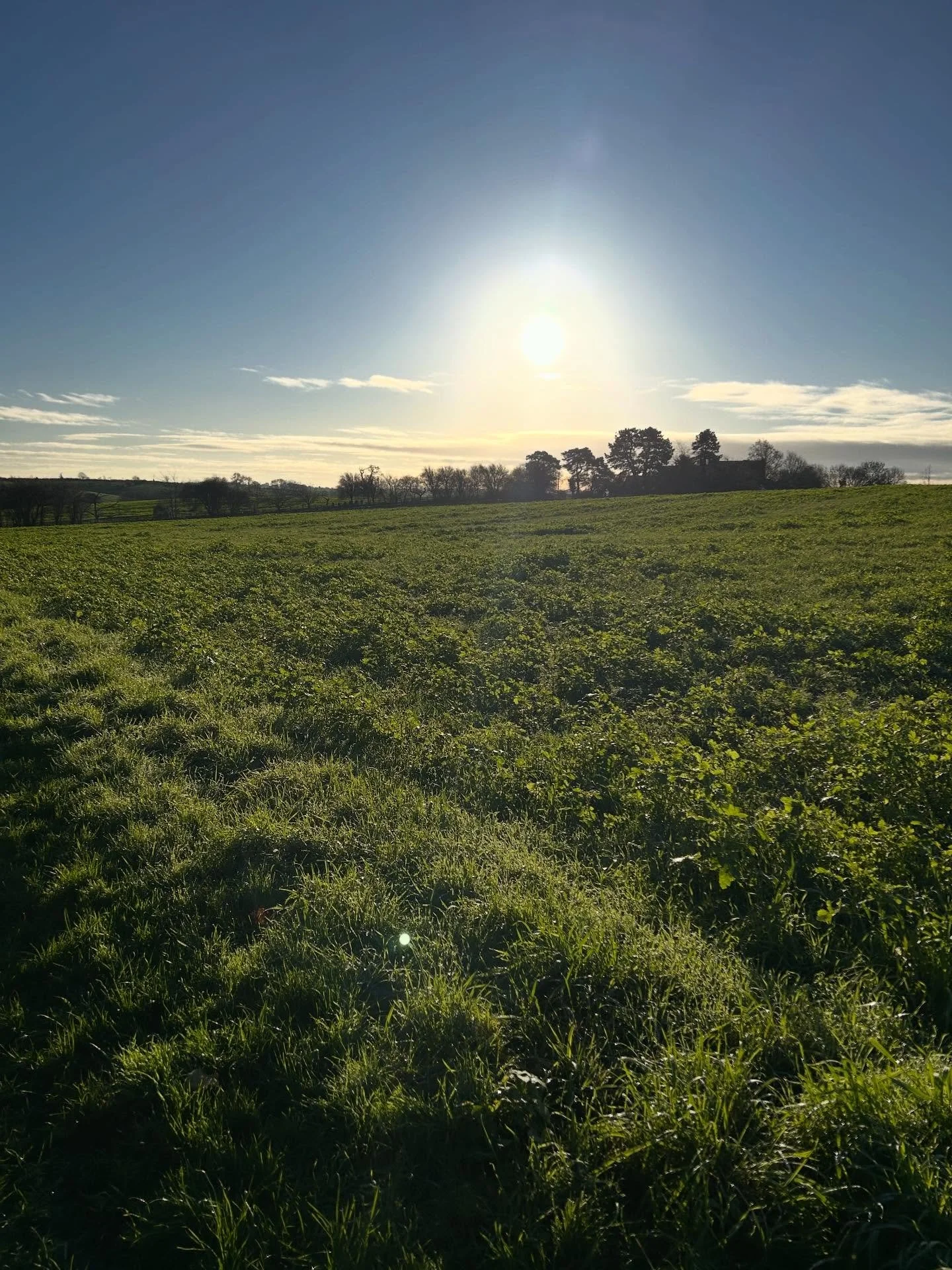 ✨Before you dive head-first into today&hellip; just check in with your energy for a moment.

📋Not your to-do list.
📥Not your inbox.

🩷You.

It&rsquo;s wild how many women shift straight into &ldquo;go mode&rdquo; without noticing the tension they 