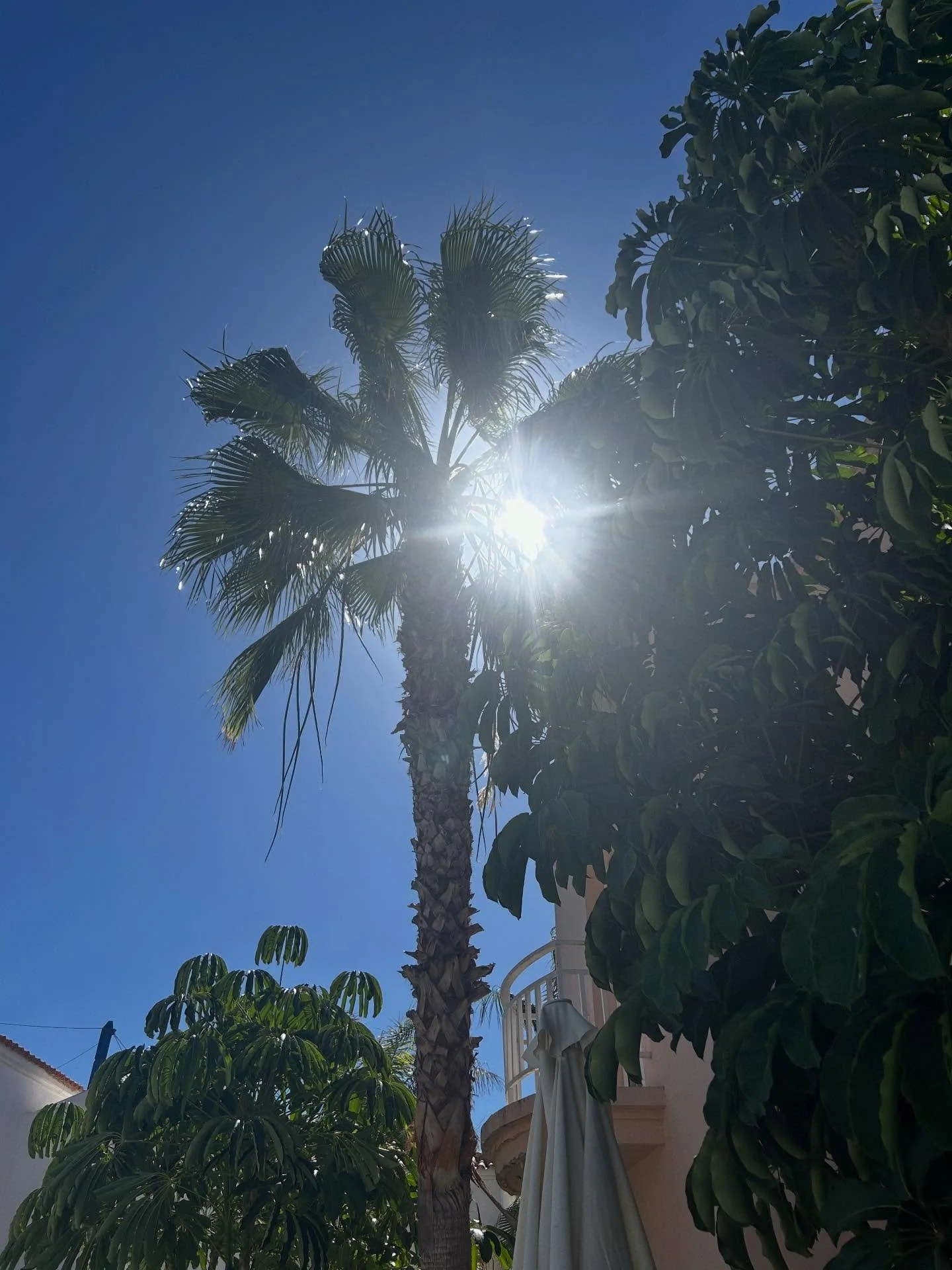 Bit late to the party but here&rsquo;s my November dump 😅🍂

✈️ Back to Tenerife for nostalgia and to celebrate my brother&rsquo;s 40th
🩵CCFC
🕯️ Ceremonies + deep chats
💻 1:1 sessions with absolute powerhouse women
🌲 Nature walks to reset my ner